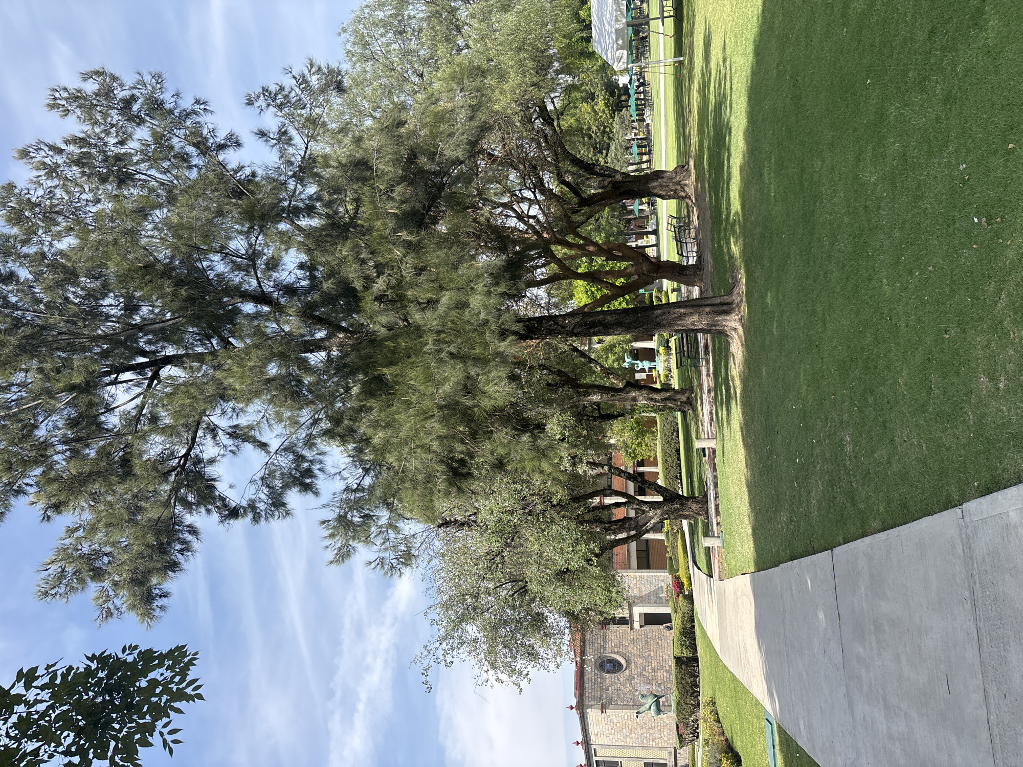 The image depicts a park in San Andrés Cholula, Mexico. Mature trees line a sidewalk, casting shadows on the neatly manicured grass. Benches are visible under the trees. A stone building with a round window and red trim is partially visible behind a tree. A statue of a bird is placed in front of the building. The sky is blue with scattered clouds.