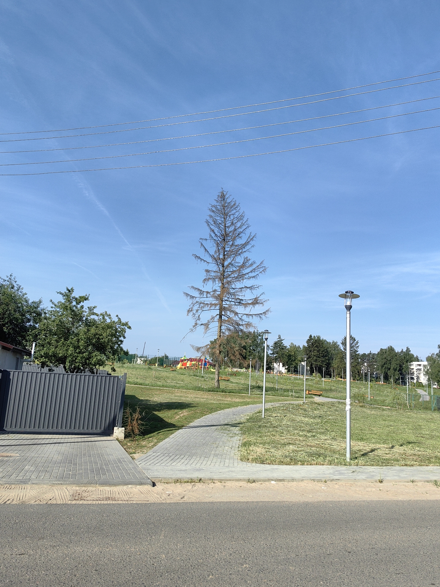 The image depicts a sunny outdoor scene, likely a park or recreational area, on a clear day in Fanipal, Belarus. In the foreground, a paved road transitions to a gray metal fence and a sidewalk made of interlocking pavers. Beyond the fence, a curved path of pavers winds through a grassy area dotted with benches and lampposts. A dead, tall tree with sparse branches stands prominently in the middle ground, contrasting with the surrounding lush greenery. In the background, a playground with colorful equipment is visible, along with a cluster of trees and a white residential building. Overhead, several power lines stretch across the bright blue sky. The overall impression is one of a well-maintained public space under a clear sky.