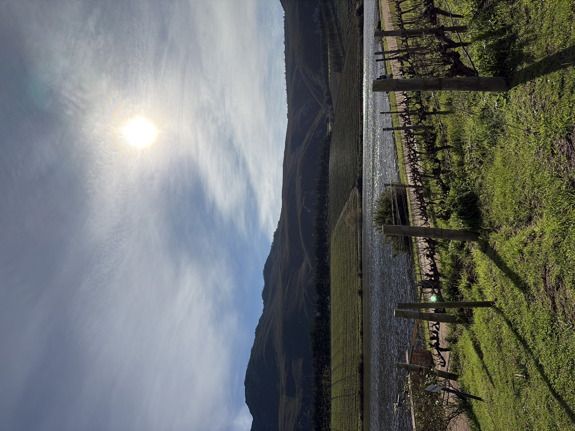 The image depicts a scenic vista with a body of water in the mid-ground, reflecting the sunlight. On the far side of the water, there are terraced vineyards on a hillside, leading up to a dark, mountainous landscape under a sky with scattered clouds. In the foreground, there is a grassy area with rows of dormant grapevines supported by wooden posts. The sun is visible in the upper right portion of the sky, casting long shadows across the grass. The scene appears to be a vineyard or winery in Theewaterskloof Nu, South Africa, likely during the winter or early spring before the grapevines fully leaf out. There are no people or animals visible in the image.