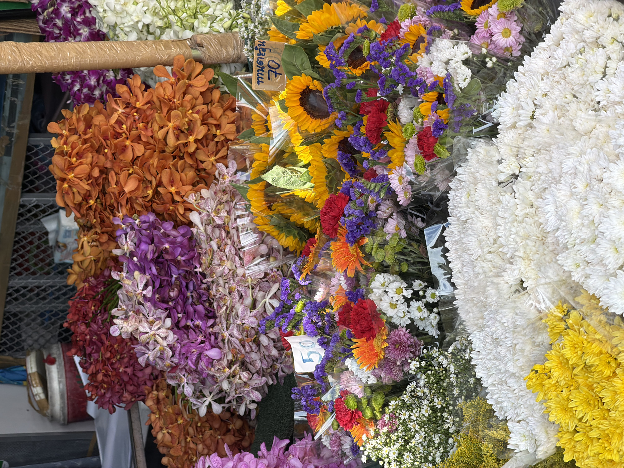 This is a close-up, eye-level shot of a flower stall in Chiang Mai City Municipality, Thailand, featuring an abundant display of colorful flowers. In the foreground, large bunches of white and yellow chrysanthemums are prominently displayed. Behind them, a variety of smaller bouquets contain sunflowers, gerbera daisies, chrysanthemums, and delicate purple statice flowers. The background shows stacks of orchids in shades of orange, purple, and red, as well as a large barrel and a wire fence. A price tag with the number "50" is visible on one of the bouquets. Another price tag with Thai script and the number "70" is placed near a bouquet of sunflowers. The overall impression is of a vibrant and lively market setting.