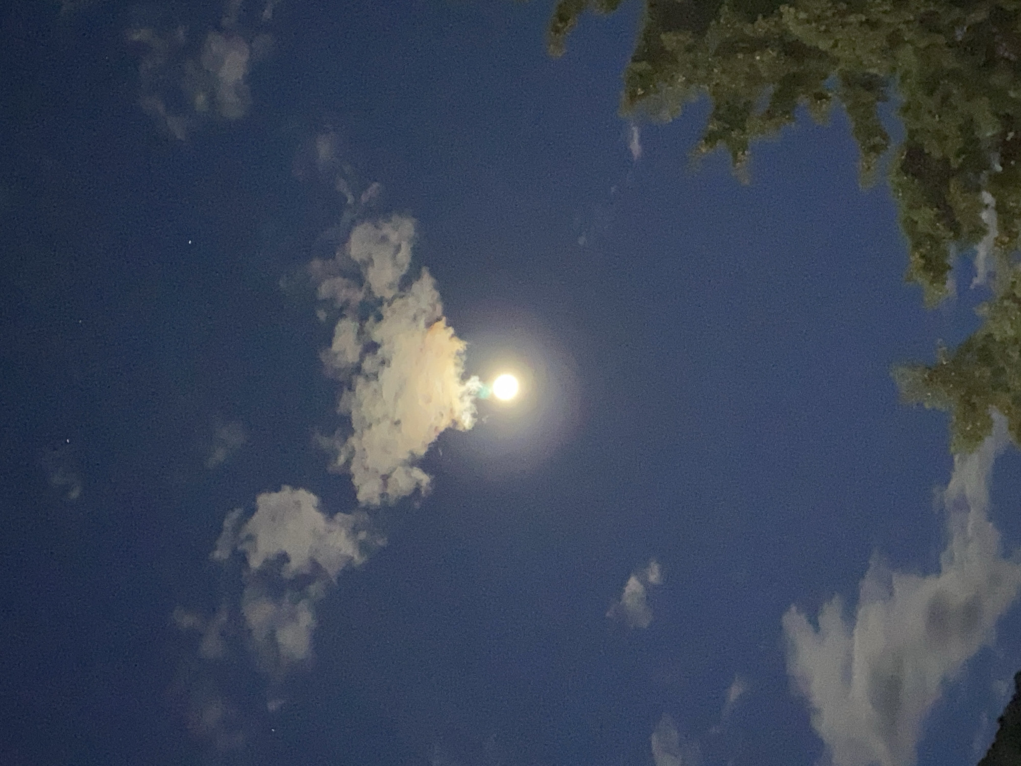 The image shows a night sky with a bright moon obscured by clouds. Additional clouds are scattered throughout the sky. In the upper right corner, there is a blurry depiction of tree branches. Two faint stars are visible in the upper left quadrant. There is no evidence of the location being Budva, Montenegro. There are no people or interactions visible in the image.