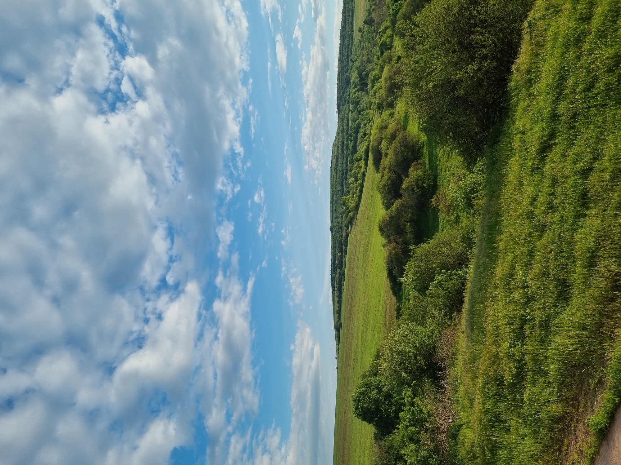 The image shows a landscape scene, likely taken in or near Gurgulyat, Bulgaria, based on the request. The sky occupies the left side of the frame and is filled with a mix of blue sky and fluffy white clouds. The right side features a grassy field that slopes upwards. Dense green vegetation, including bushes and trees, lines the edge of the field along the top of the image. The light appears to be bright, suggesting a sunny day. No people or animals are visible. The overall composition suggests a rural or agricultural setting.