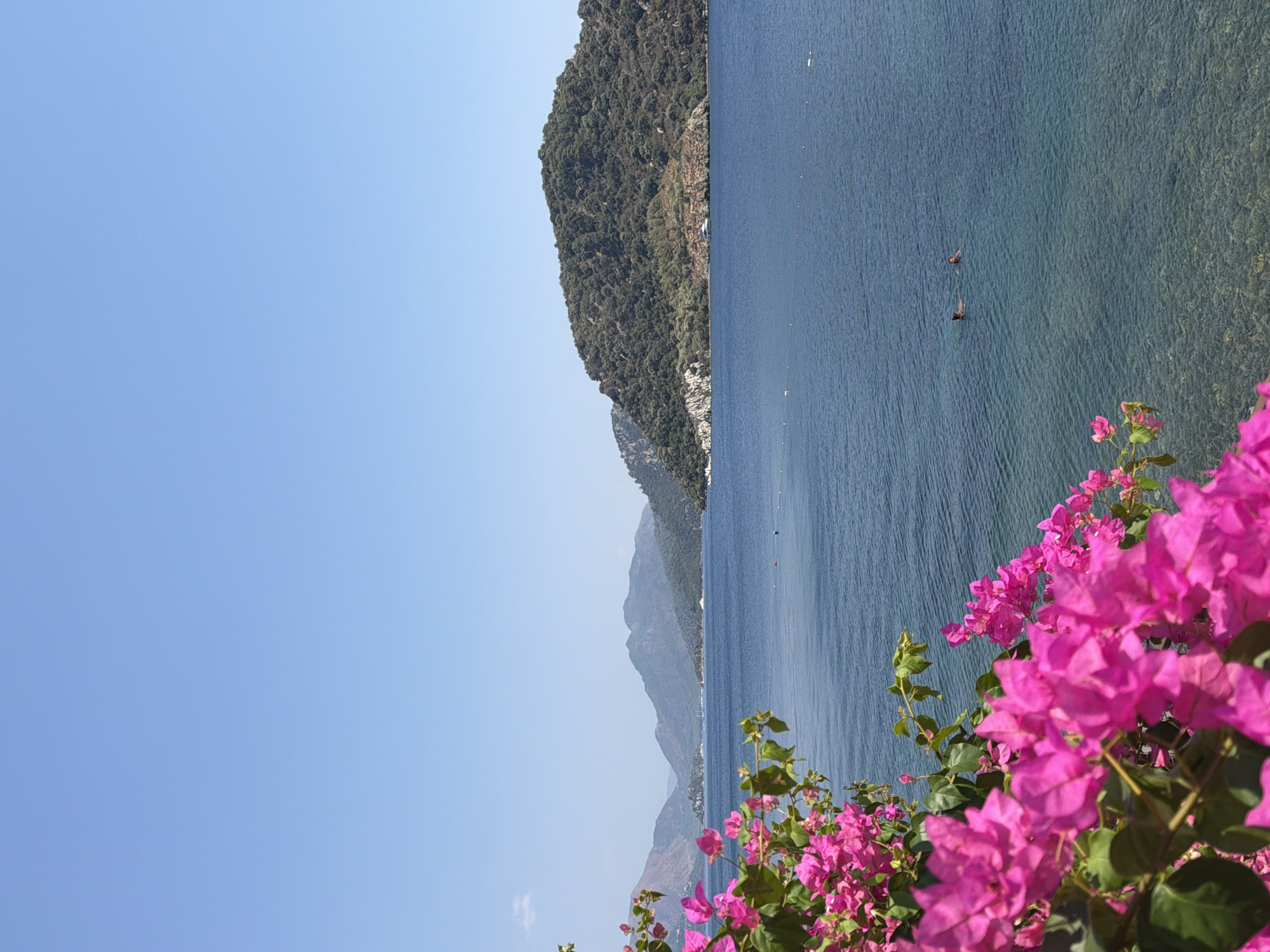 In Marmaris, Turkey, vibrant pink bougainvillea blooms in the foreground, framing a tranquil bay under a clear blue sky. The deep blue water, shimmering with sunlight, reveals a rocky seabed below the surface. In the distance, lush green hills and mountains rise from the coastline, dotted with scattered buildings. Two individuals are swimming in the clear water. A white boat is anchored near the shore of a larger, tree-covered island. The scene captures a peaceful, idyllic summer day.