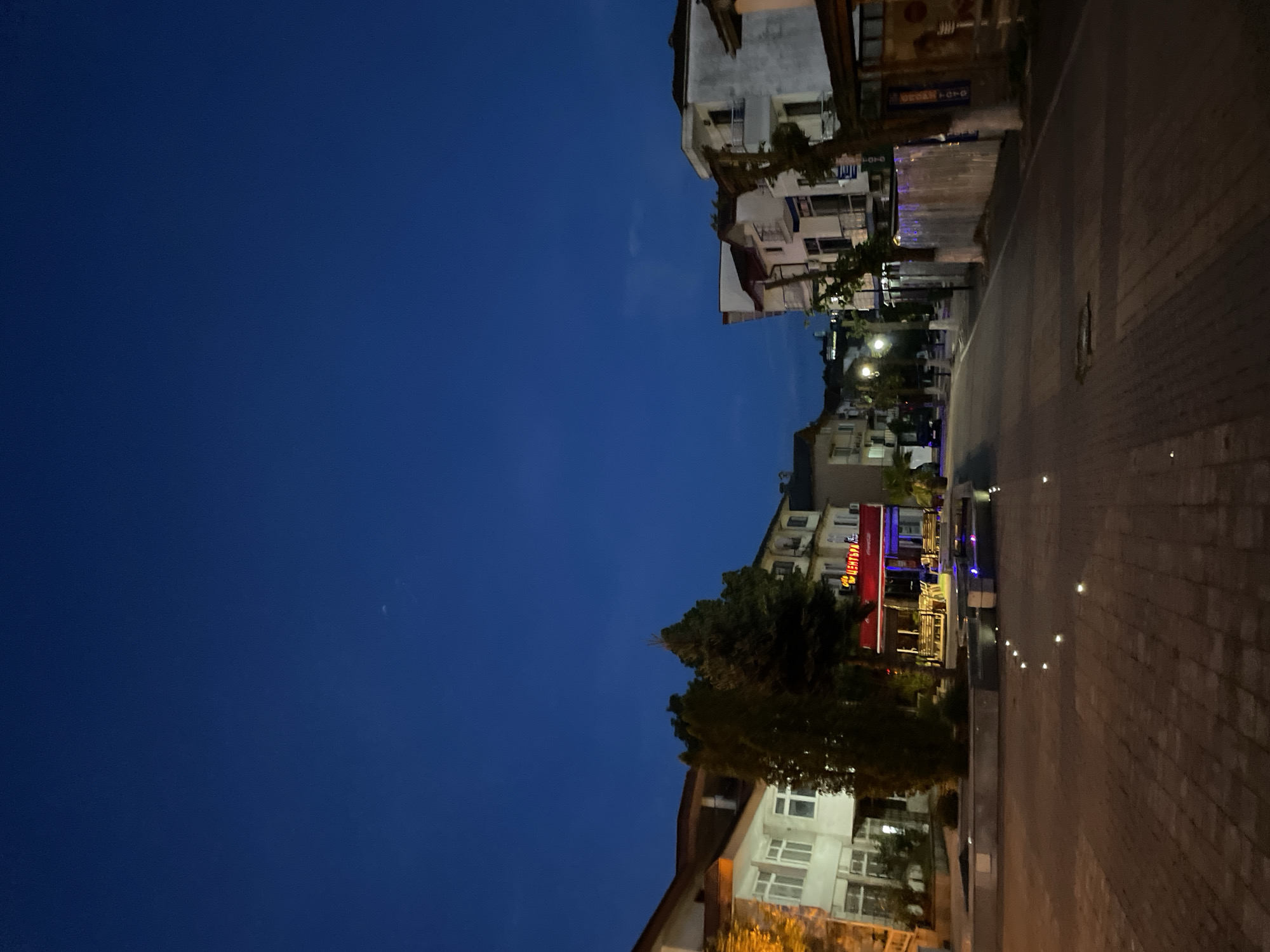 The image captures a street scene in Nedelino, Bulgaria at night. Buildings line the right side of the frame, illuminated by street lights. A visible sign reads "ЦЕНТЪРА." A paved sidewalk runs alongside the buildings. The left side is dominated by a dark blue sky. The scene appears calm and still.