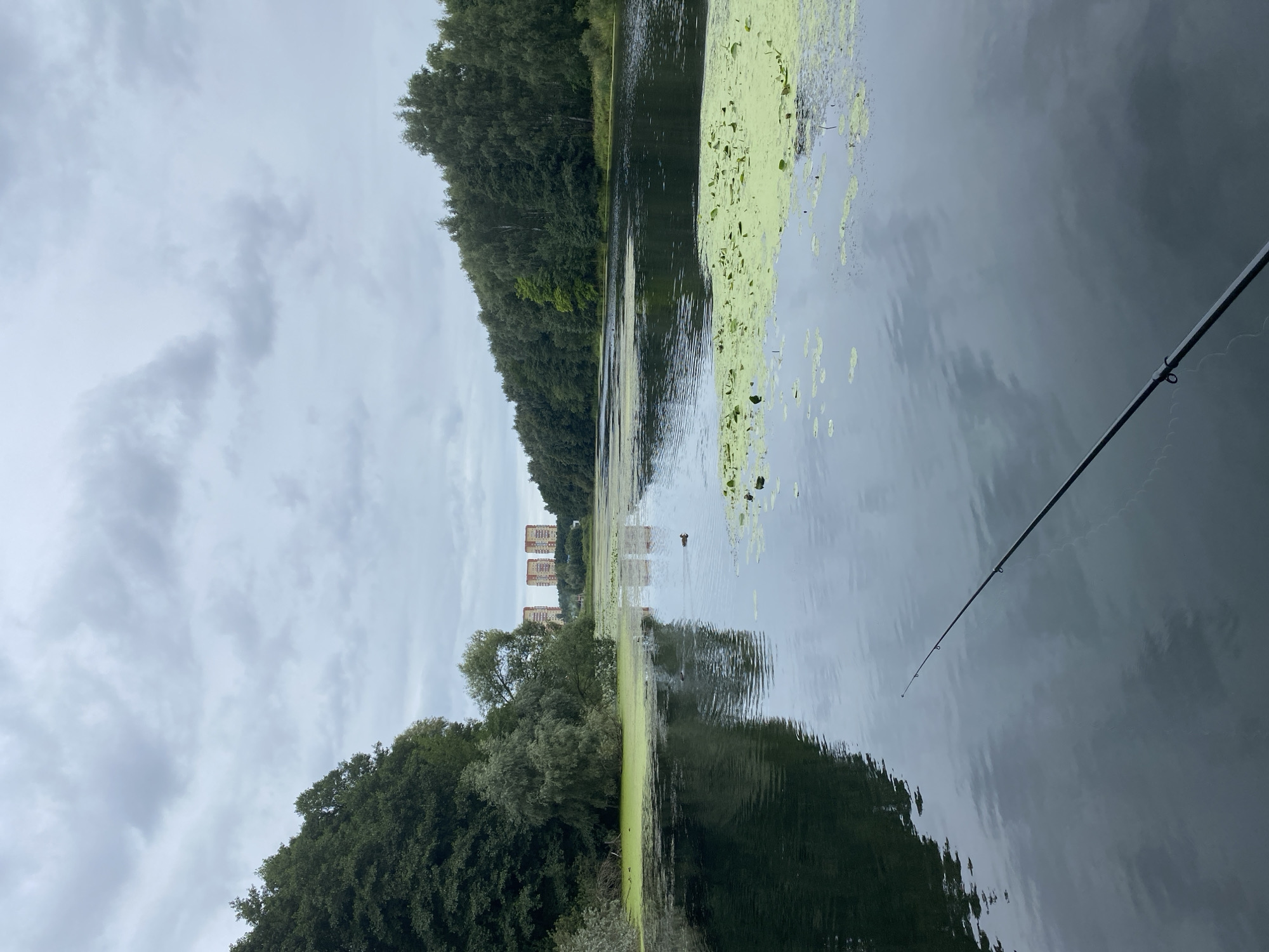 The image depicts a serene lake on an overcast day. The water is partially covered with patches of green algae and lily pads. Dense trees line the banks of the lake on both sides, with one bank featuring a more varied foliage including a large tree leaning over the water. In the distance, across the lake and beyond the treeline, three identical, tall, red-brick apartment buildings are visible. A fishing rod extends into the lower right corner of the frame, suggesting someone is actively fishing. A few ducks can be seen in the water, one closer to the foreground and others further back near the algae patches. The sky is filled with grey, cloudy formations. The overall scene evokes a sense of tranquility in a natural setting with urban development in the background. This scene is located in Sobolíkha, Russia.