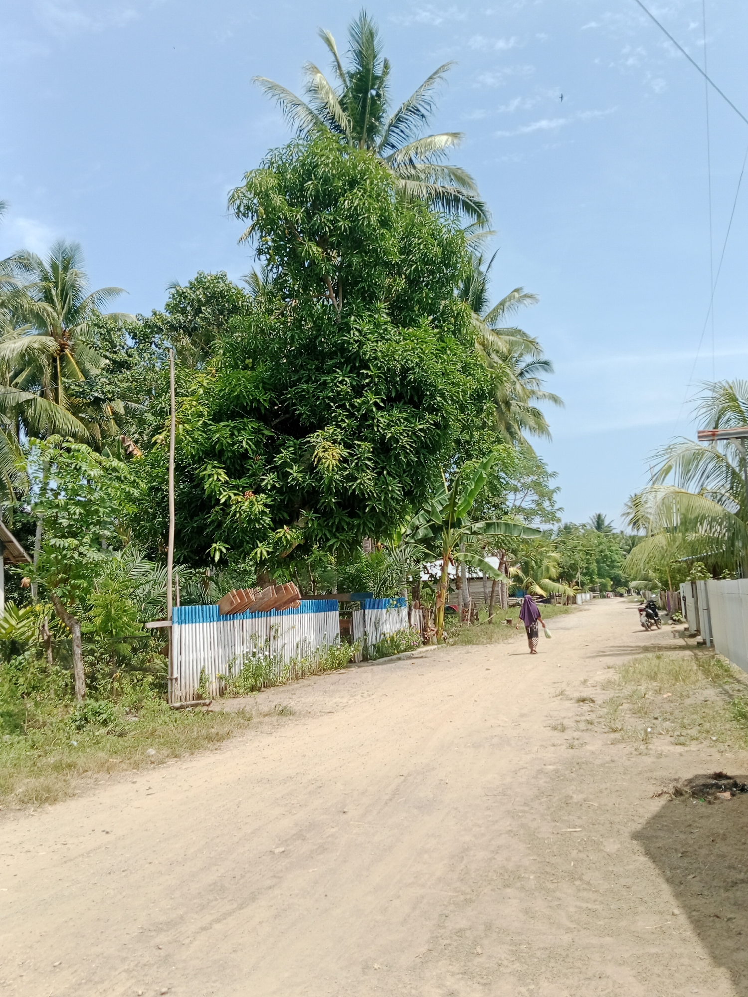 The image depicts a dirt road in Lakea Satu, Indonesia, under a clear blue sky. A person wearing a purple head covering and carrying a light-colored bag walks away from the camera down the road. To the left of the road, there is a white wooden fence with blue trim, behind which is dense green foliage, including a large tree and palm trees. Further down the road, a motorcycle is parked on the right side. The overall scene suggests a rural or semi-rural setting with a dry, dusty environment.