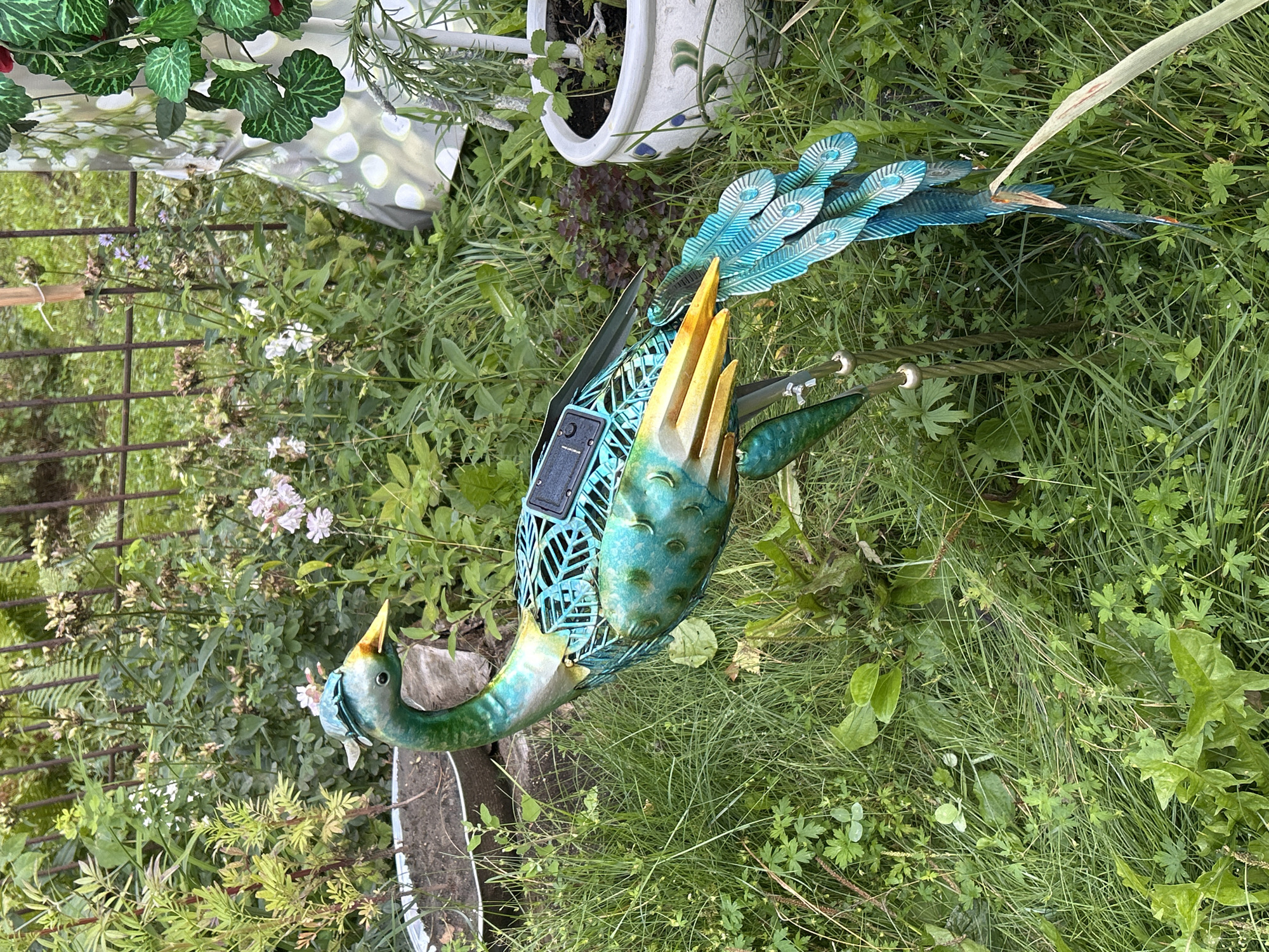 A metal peacock garden ornament with blue and green iridescent coloring stands in a grassy area. The ornament has a solar panel on its back. The background consists of various plants and a weathered metal fence. To the right, a white pot with a plant is visible, along with a floral patterned fabric. The scene appears to be an outdoor garden setting.