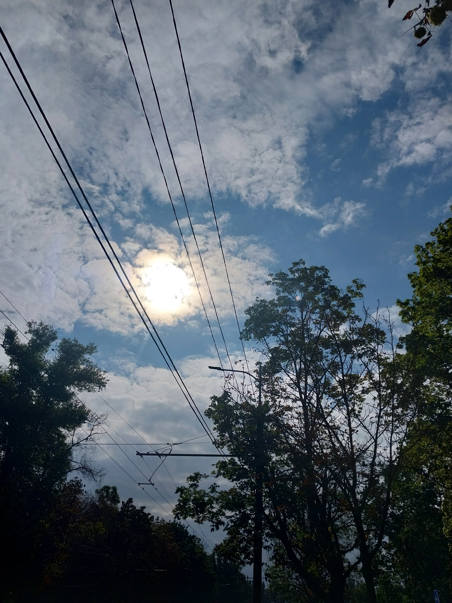 The image shows a view upwards towards the sky, with several power lines crisscrossing diagonally from the left to the right of the frame. The sun is bright and partially obscured by clouds, creating a lens flare effect. Lush green trees are visible in the foreground and along the edges of the image, with their branches reaching towards the sky. The sky is blue with scattered white clouds. In the distance, some darker foliage suggests more trees or a denser wooded area. The overall impression is of an urban or suburban environment, likely in Dnipro, Ukraine, given the context. There are no people or discernible actions visible in the image. The scene is characterized by the interplay of natural elements like trees and sky with man-made infrastructure in the form of power lines.