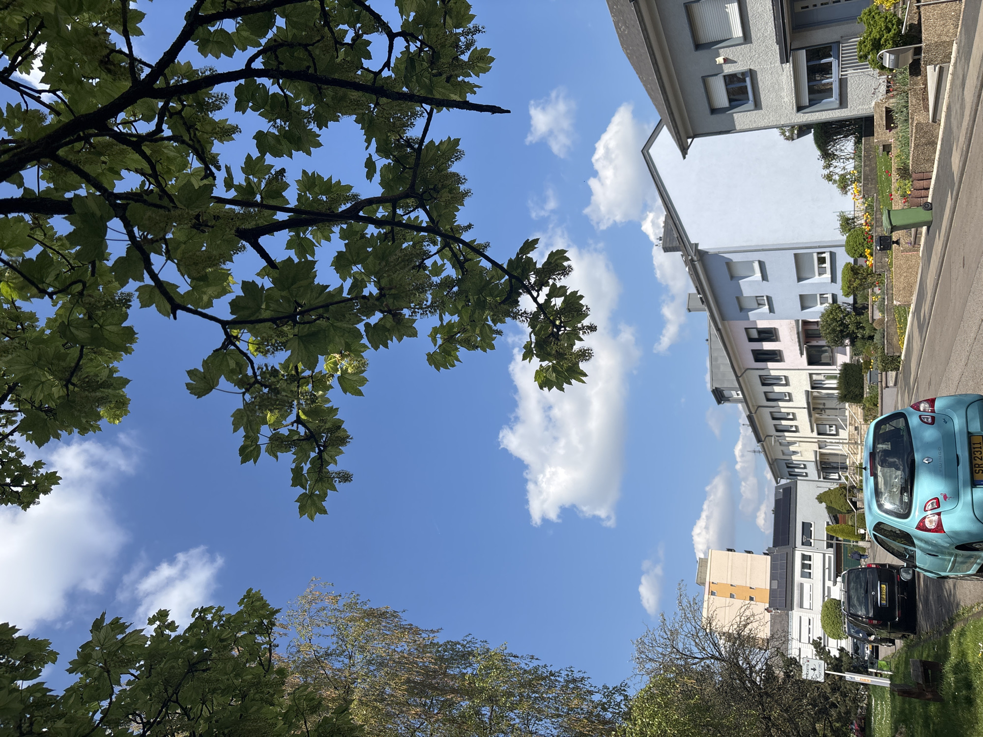 The image depicts a street in Esch-sur-Alzette, Luxembourg, with residential buildings lining the side of the road. A blue Renault Twingo is parked on the right side of the street. Further down the road, several other cars are parked. A tree with green leaves and branches occupies the left side of the image, partially obscuring the blue sky with scattered white clouds. The buildings are of varying colors and designs, suggesting a mix of architectural styles. There is vegetation and greenery visible in the spaces between the buildings. The weather appears sunny.