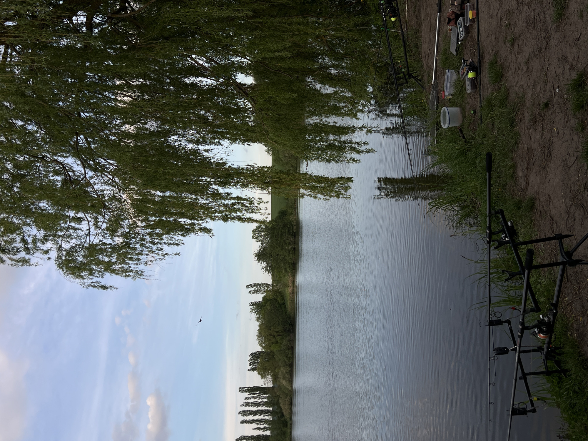 The image depicts a body of water, likely a river or a lake, with trees lining the opposite bank. The sky is partly cloudy. Fishing rods and gear are set up along the near bank, suggesting someone is fishing. The exact location is Romanove Selo, Ukraine. The image is rotated counter-clockwise.