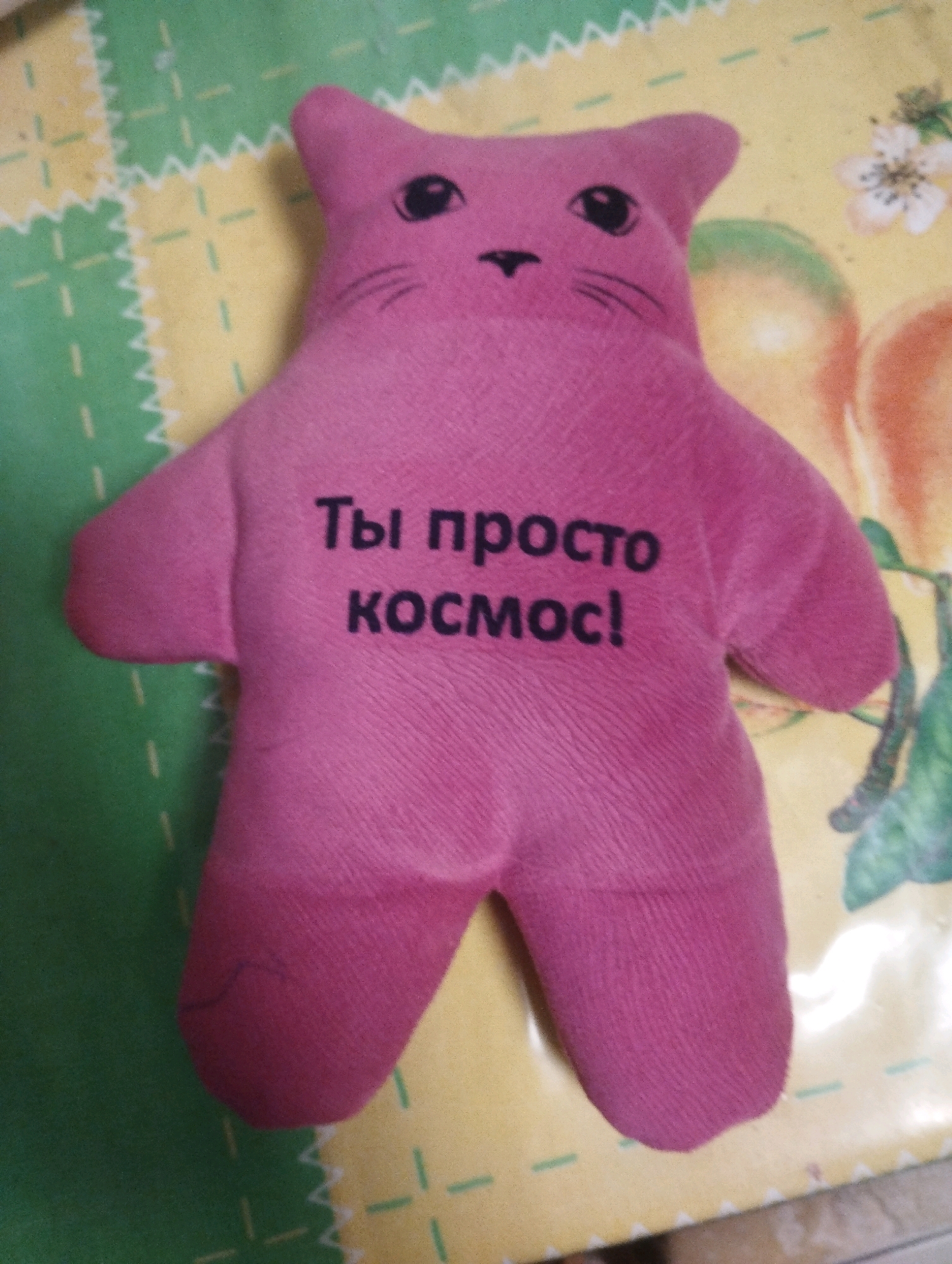 A pink stuffed cat toy lies on a yellow and green checkered surface. Black text is embroidered on the chest of the toy, reading "Ты просто космос!" which translates to "You are simply space!". The toy has black embroidered eyes and whiskers. The background appears to be a fabric with a floral pattern. The image is taken from a top-down perspective. No specific location in the city of Ashdod, Israel, can be determined from the image.