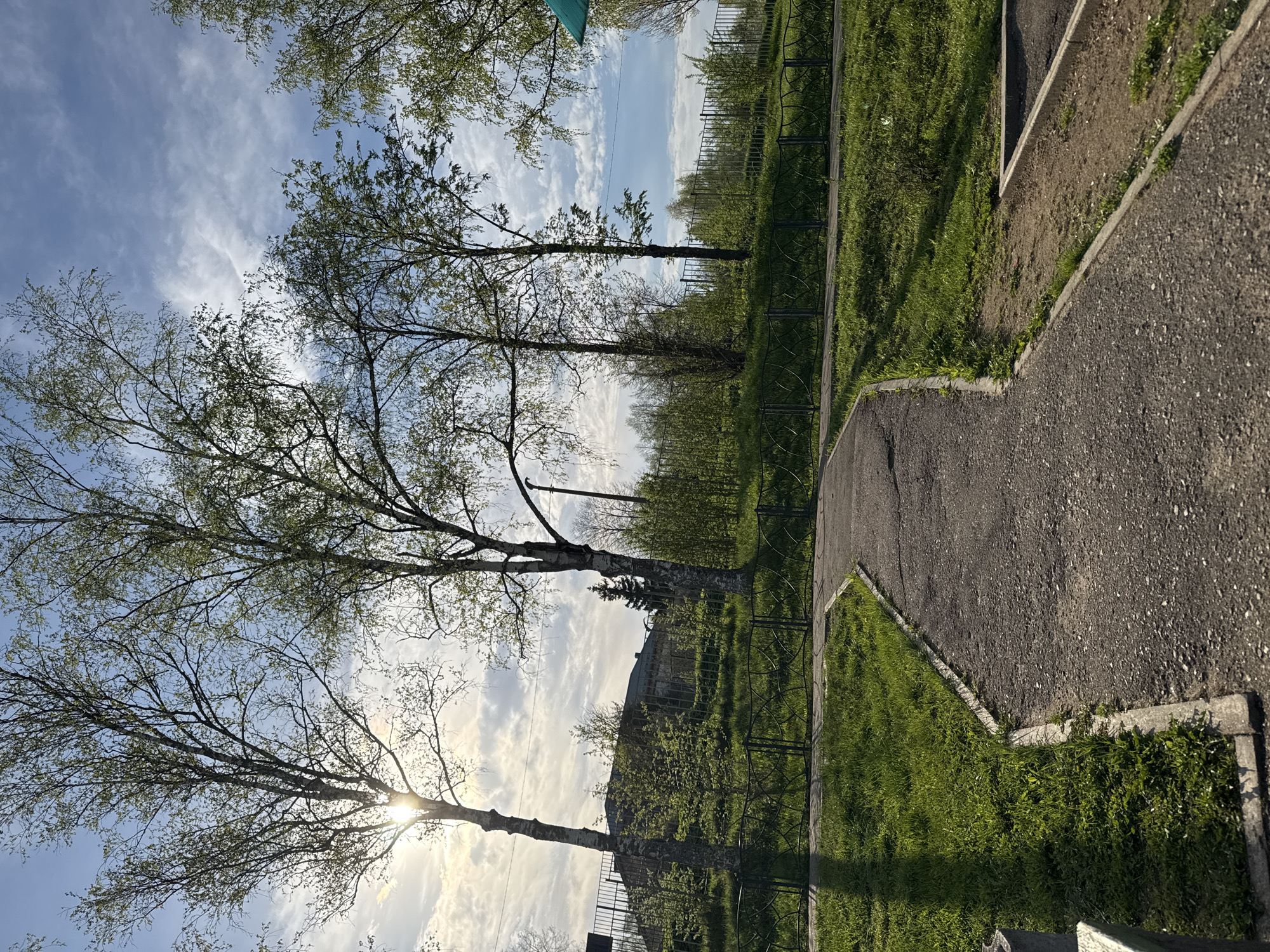 The image shows a paved pathway in Shevlyakovo, Russia, bordered by green grass and a metal fence. Trees with budding leaves are visible against a cloudy, blue sky. The sun is shining through the branches of one of the trees. A building can be seen partially obscured by foliage in the background.