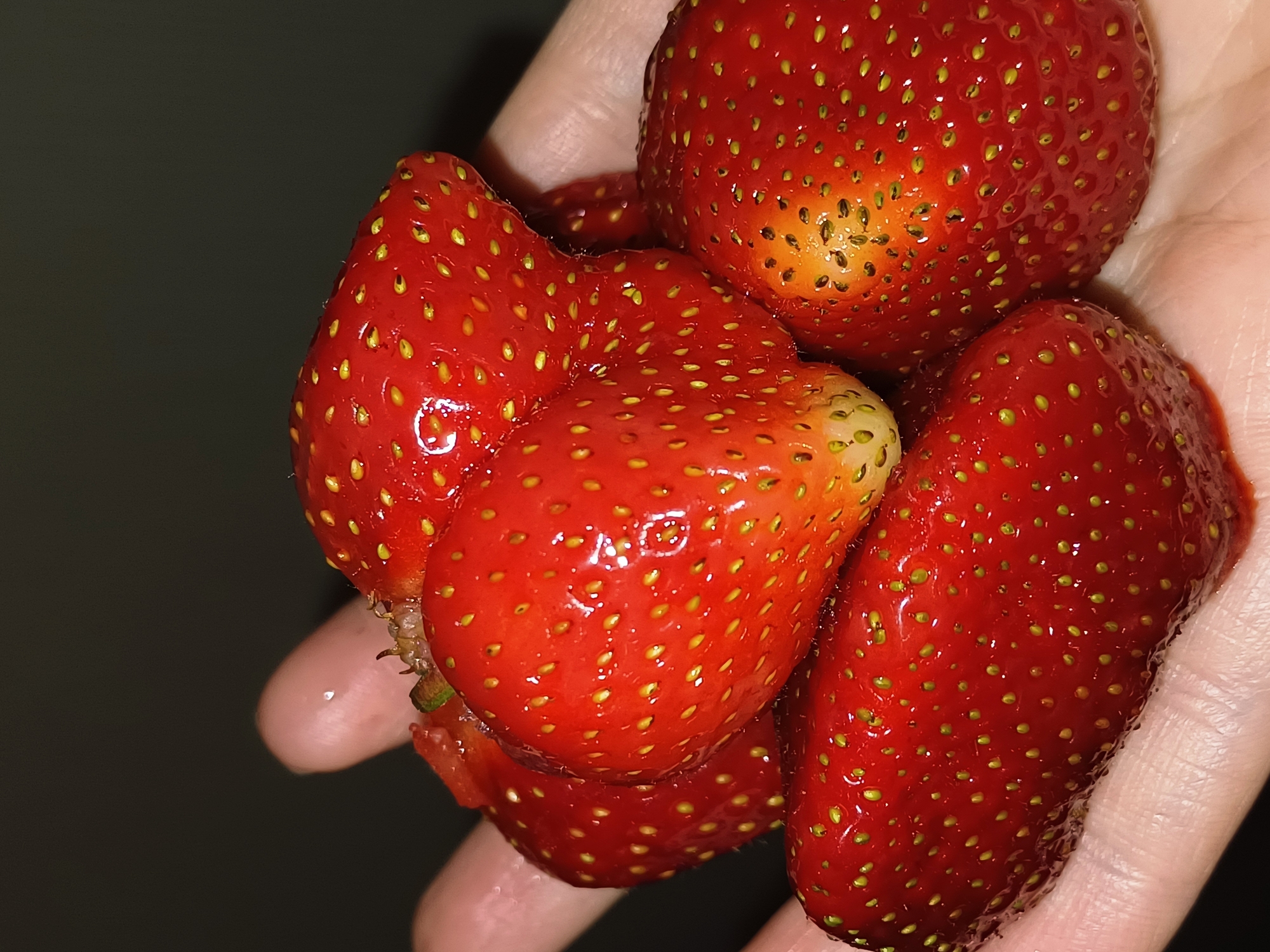 A close-up shot shows a hand holding a pile of ripe strawberries against a dark, out-of-focus background. The strawberries are a vibrant red, with visible yellow seeds dotting their surfaces. Some of the strawberries appear wet, with glistening droplets. The hand's skin is visible, with a thumb and fingers supporting the fruit. The lighting is dim and appears to be artificial, creating a slightly dramatic effect. The scene is devoid of any urban context, making it impossible to determine a city location.