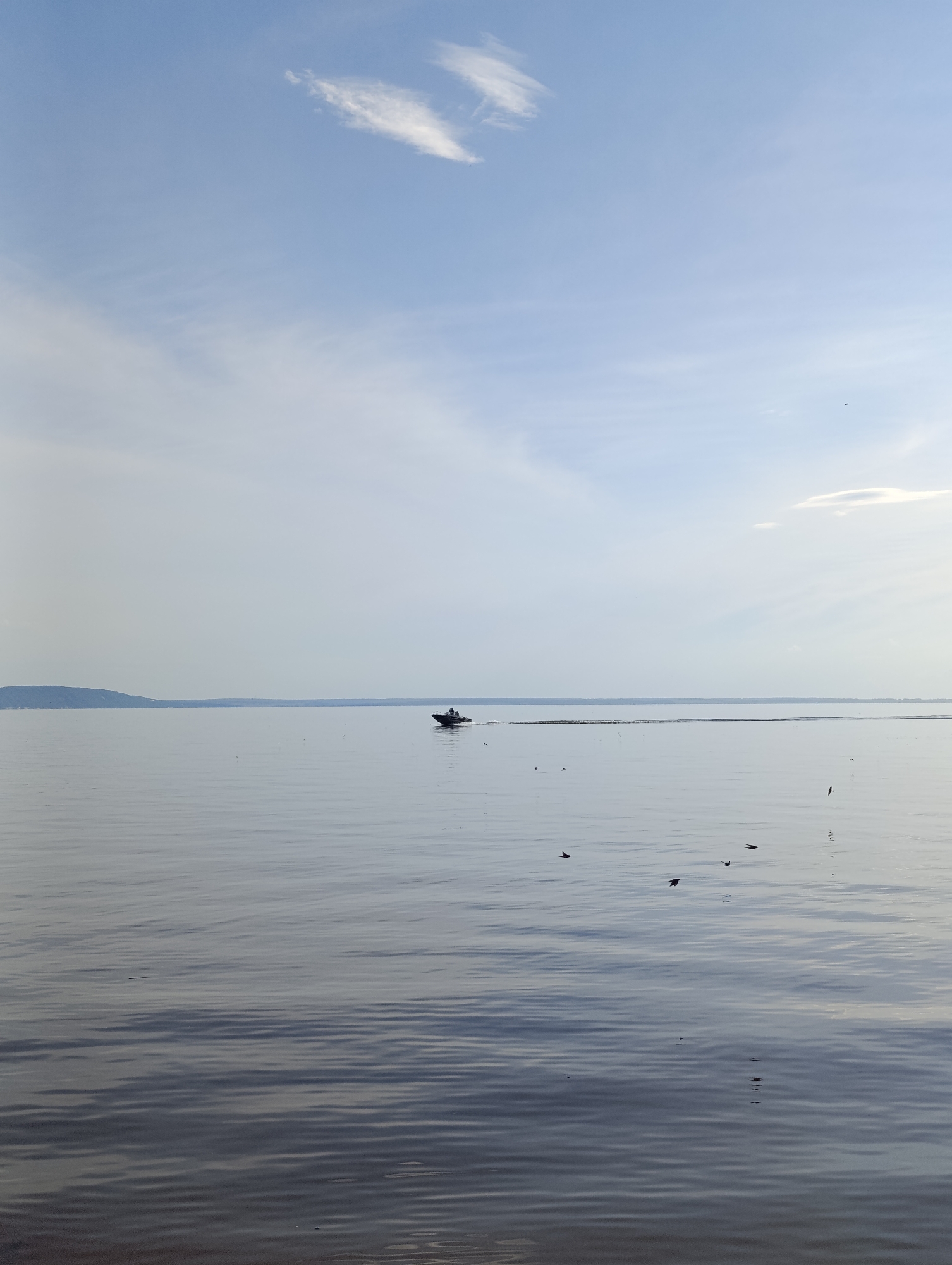 A motorboat with a few occupants moves across a calm body of water under a pale blue sky. The water reflects the sky, creating a serene and expansive scene. In the distance, a hazy shoreline can be seen, and several small birds are visible flying above and on the water's surface. The overall impression is one of peacefulness and open space.