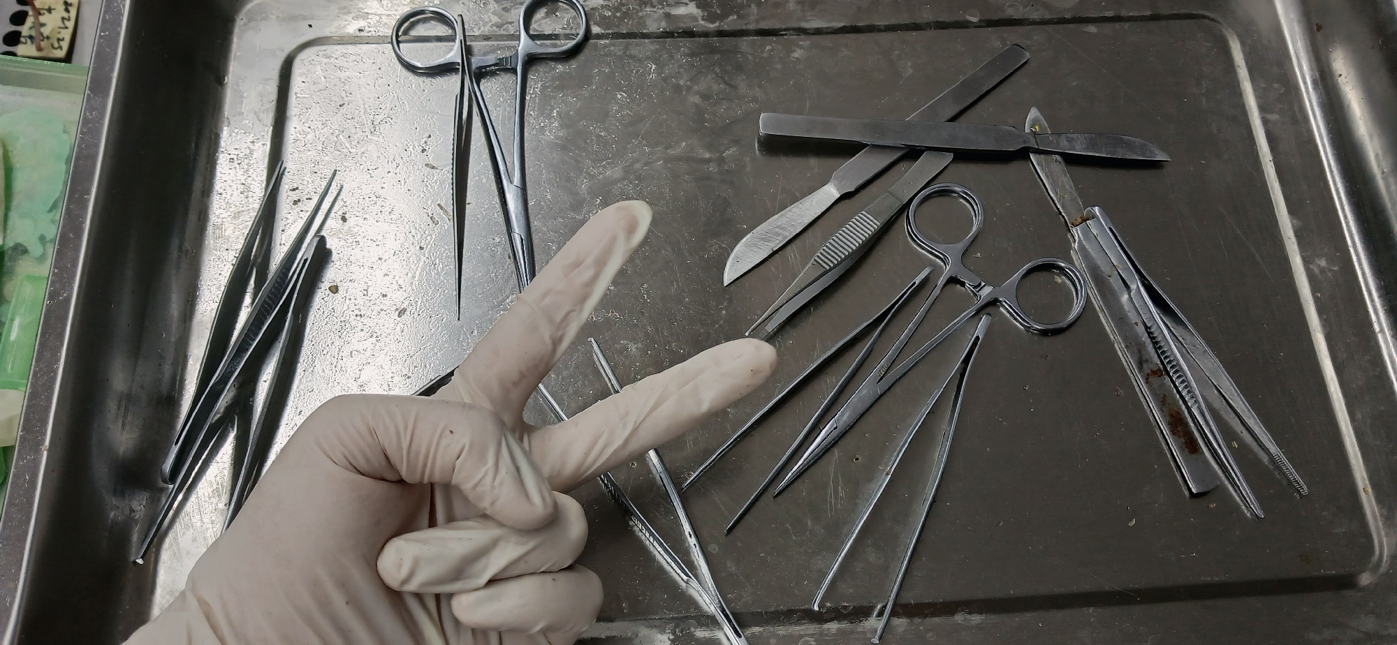 The scene depicts a metal tray containing surgical instruments, including forceps, scalpels, and scissors. A hand, gloved in white latex, is making a "peace" or "victory" sign in the foreground. The background is a metal tray with a brushed finish. Based on EXIF data, the image was taken in Chongqing High-tech Zone, China.