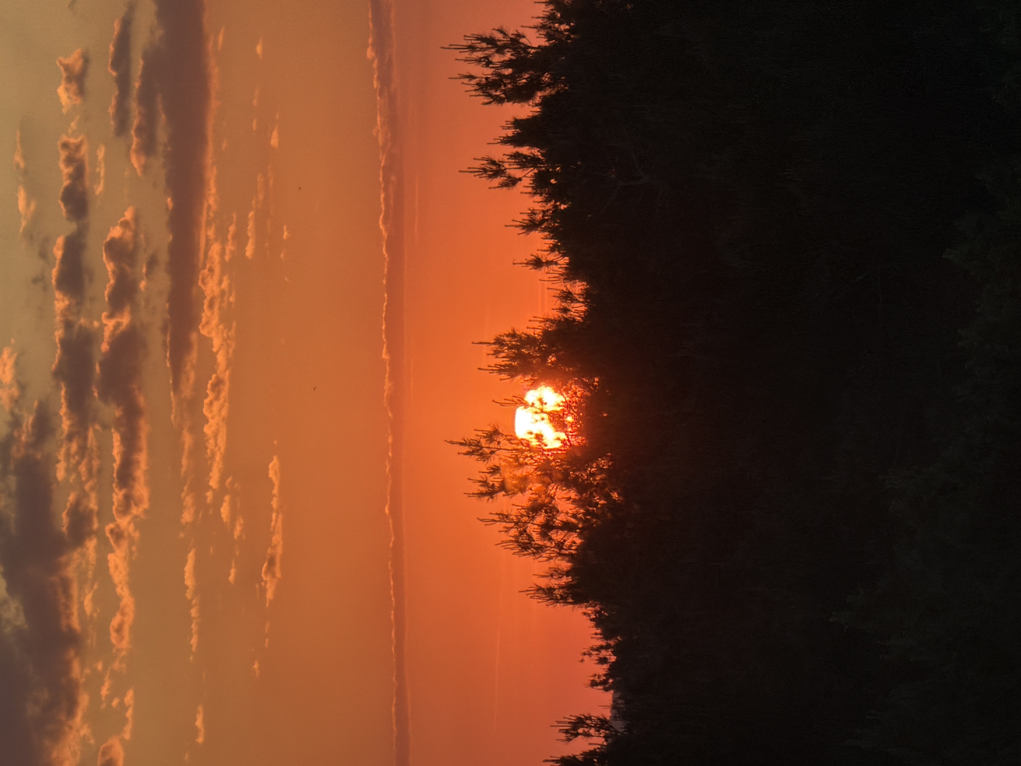 A sunset is visible through trees, illuminating the sky with orange and yellow hues. Clouds are scattered across the sky. The location is unknown, as there are no indicators that show it is Chaikovsky, Russia.