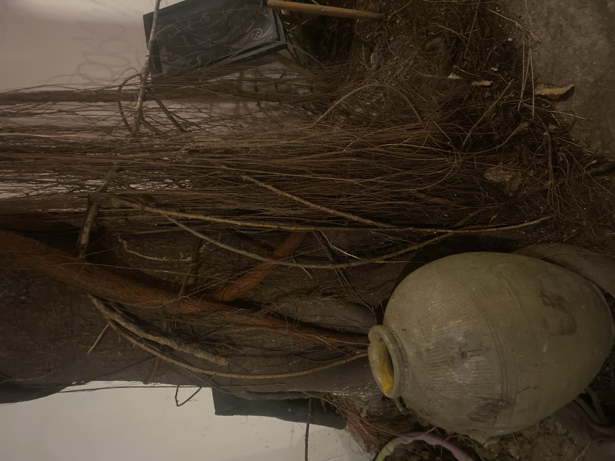 The image shows a cluttered scene in what appears to be an outdoor or semi-outdoor space, potentially located in Baan Don Sai, Thailand (as specified). Predominantly earth-toned, the scene is filled with a jumble of dried vines and branches scattered across the foreground. A large, aged ceramic pot, light green/grey in color and seemingly weathered, rests on the lower right. Behind the tangle of vines, a dark-colored object resembling a storage bin or container is partially visible. The overall impression is one of disarray, suggesting a neglected or abandoned area. The background is light in color and out of focus.