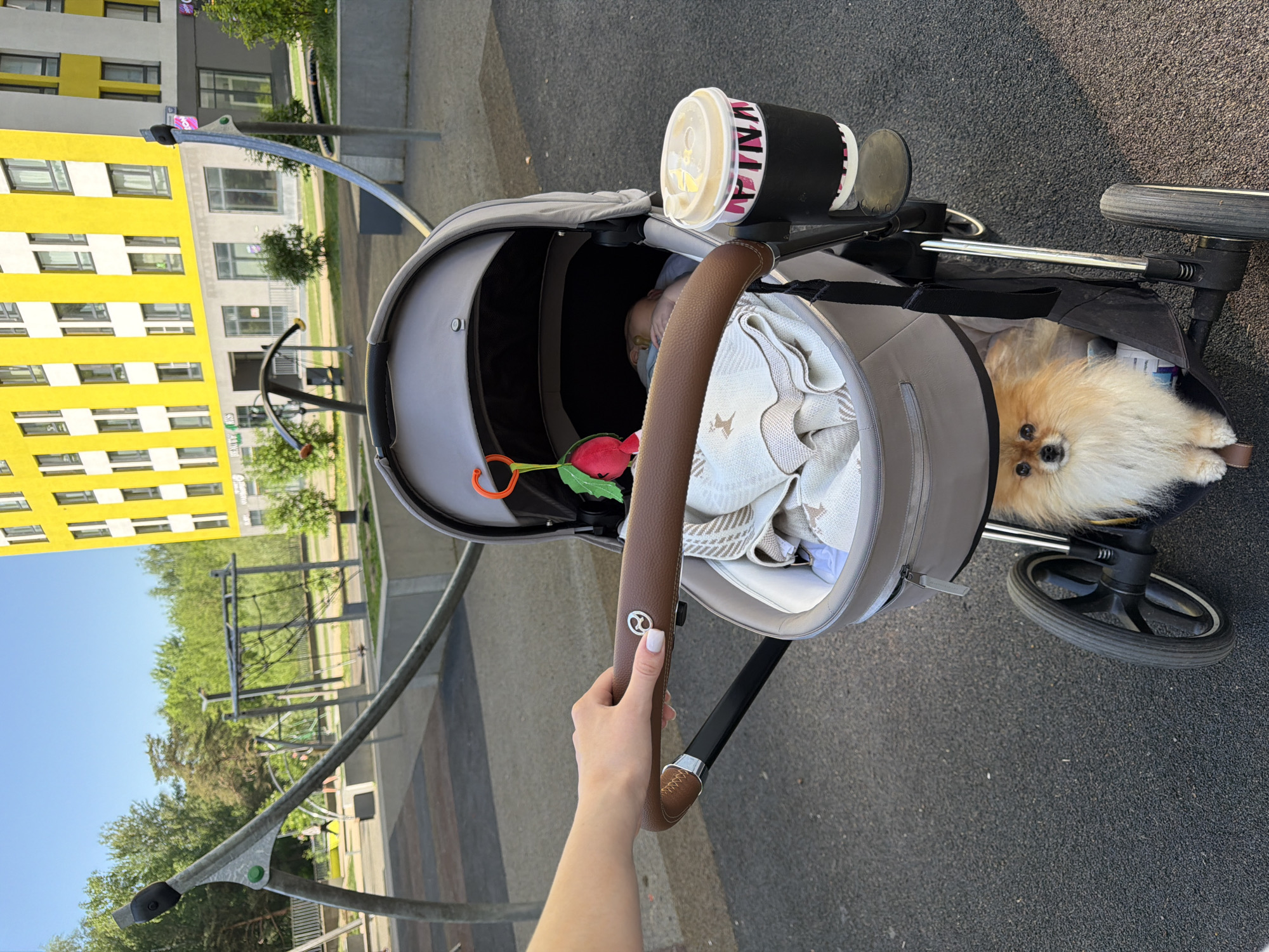 The image shows a stroller on a dark, paved surface. In the stroller is a baby, mostly covered by a blanket, and a small, fluffy dog. A cup with a lid and a black holder labeled "VANILLA" sits on the side of the stroller. A hand is holding the stroller's handle, with a visible white manicure. In the background is a bright yellow building with white window frames. In the distant background, there are trees and playground equipment. Based on prior knowledge, the image was taken in Khimki, Russia.