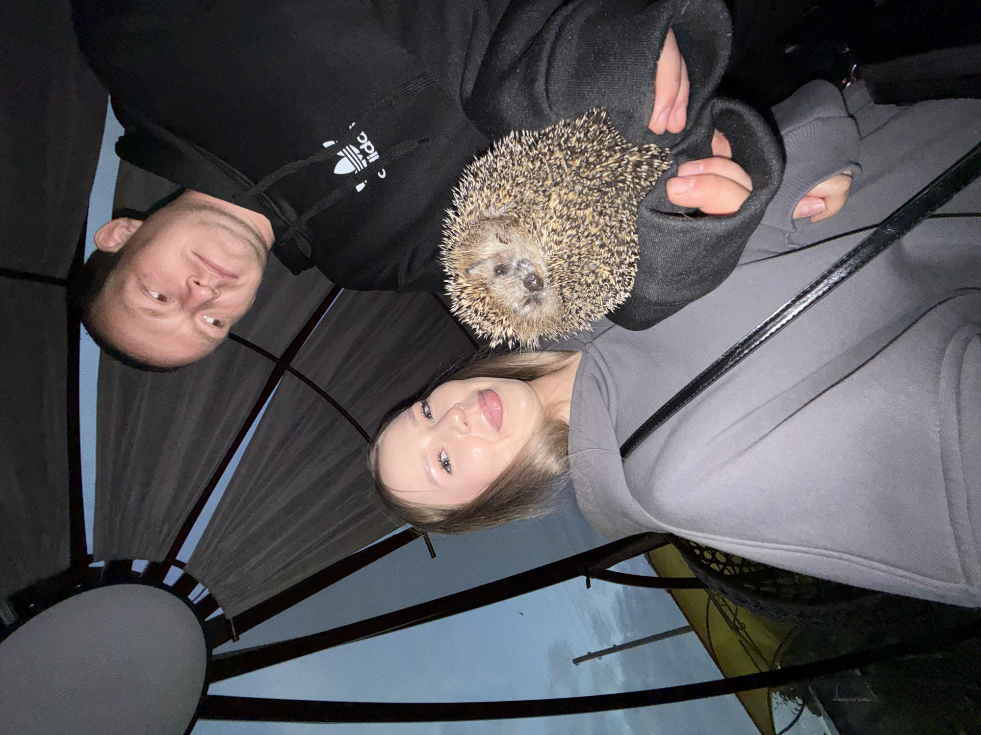 Two individuals, a woman and a man, are posing for a selfie with a hedgehog in Zhigalki, Russia. The woman is in the foreground, wearing a grey hoodie and sticking her tongue out playfully. The man is behind her, wearing a black hoodie with an Adidas logo, and looking towards the camera with a slight smile. The hedgehog is held by the man's arm, nestled within his hoodie. The background suggests an outdoor setting with a canopy structure and a twilight sky. The overall scene captures a candid and lighthearted moment between the two people and their prickly companion.