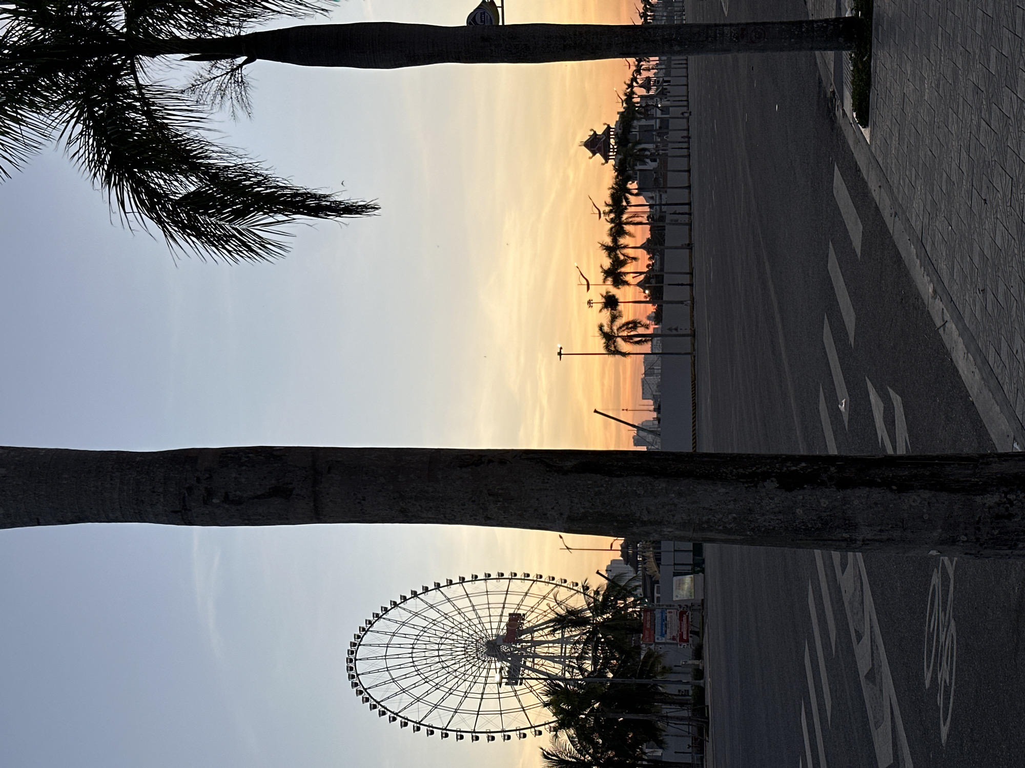 The image depicts a scenic view of Đà Nẵng, Vietnam, during sunset. Dominating the foreground are two silhouetted palm trees, their fronds casting long shadows. In the mid-ground, a large Ferris wheel stands prominently against the warm, gradient sky of oranges and blues, characteristic of sunset. A row of smaller palm trees lines a promenade or pathway to the left of the Ferris wheel, with some buildings and structures visible behind them. The ground appears to be paved with concrete tiles and asphalt, with painted road markings including a crosswalk and a bicycle lane. The overall scene evokes a sense of calm and tranquility, with the natural beauty of the sunset complemented by man-made attractions. There are no visible people in the image. The time of day is clearly sunset.