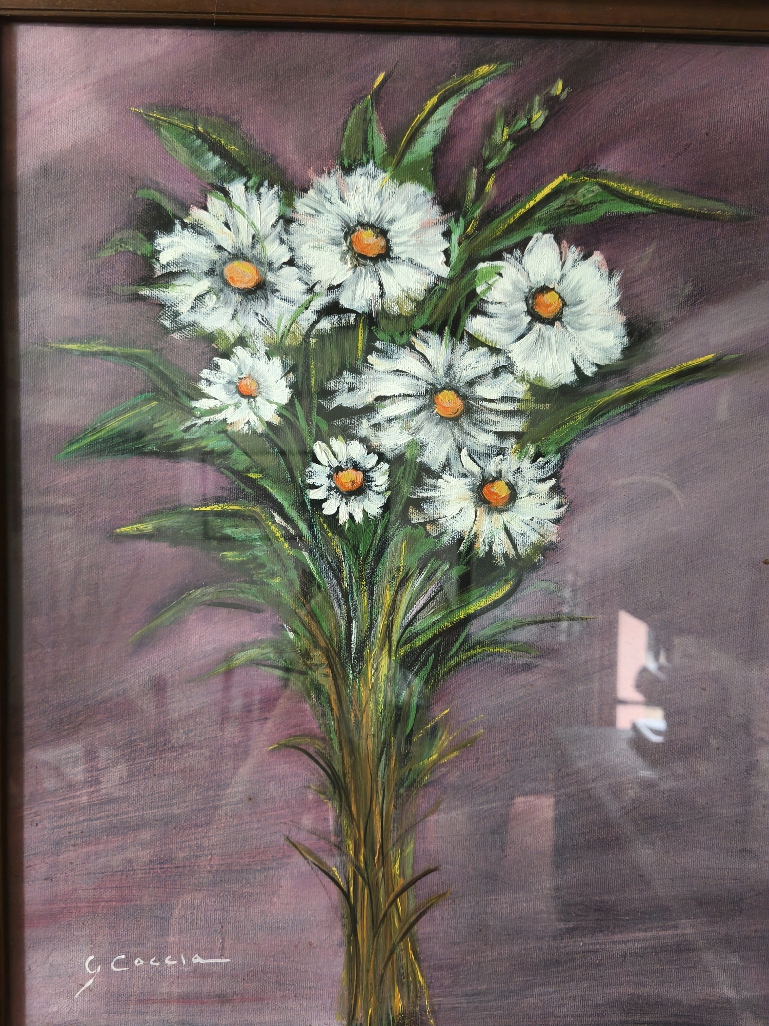 This is a framed oil painting on canvas depicting a bouquet of white daisies with yellow centers. The daisies are arranged in a bunch, with green leaves and stems. The background is a textured, muted purple color. In the bottom left corner of the painting, there is a white signature that reads "G. Coccia". The painting is enclosed in a dark wooden frame. There are reflections on the surface of the painting, suggesting it is under glass. The painting does not depict any specific location in Passignano sul Trasimeno, Italy, nor does it show any people or actions. It is a still life composition of flowers.