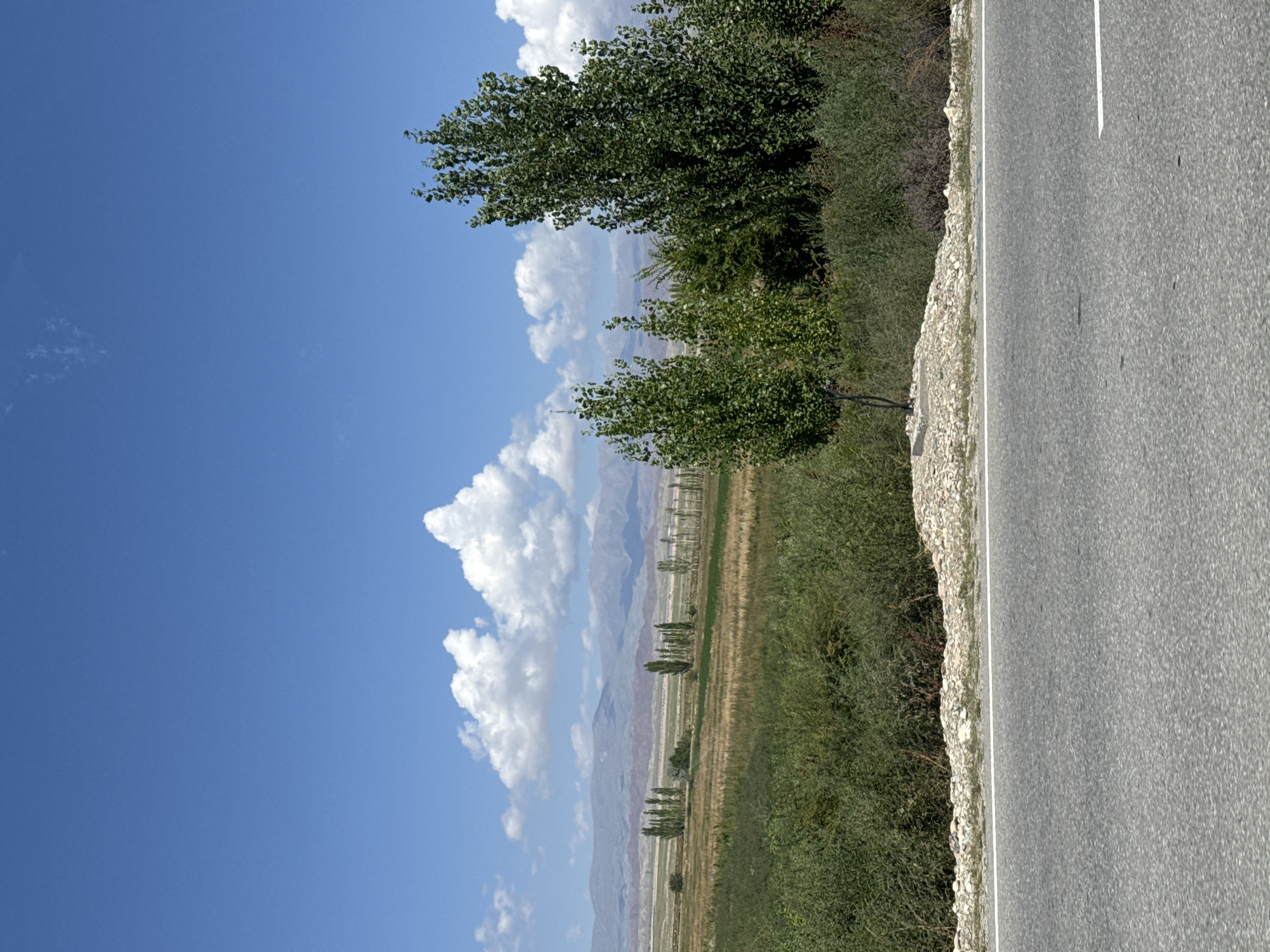 The image depicts a roadside view of a rural landscape in Toru-Aigyr, Kyrgyzstan. In the foreground, a paved road with a white line marking the edge is visible. To the right of the road, a patch of gravel and sparse vegetation leads to a dense line of green bushes and trees. Further into the landscape, a field of dry, yellow grass extends towards a row of tall, slender trees. In the distance, a line of larger, leafy trees stands against a backdrop of muted mountains under a bright blue sky dotted with fluffy white clouds. The overall scene is dry and arid, indicative of a mountainous, possibly steppe-like environment. There are no people or animals visible in the image, and no specific actions are taking place.