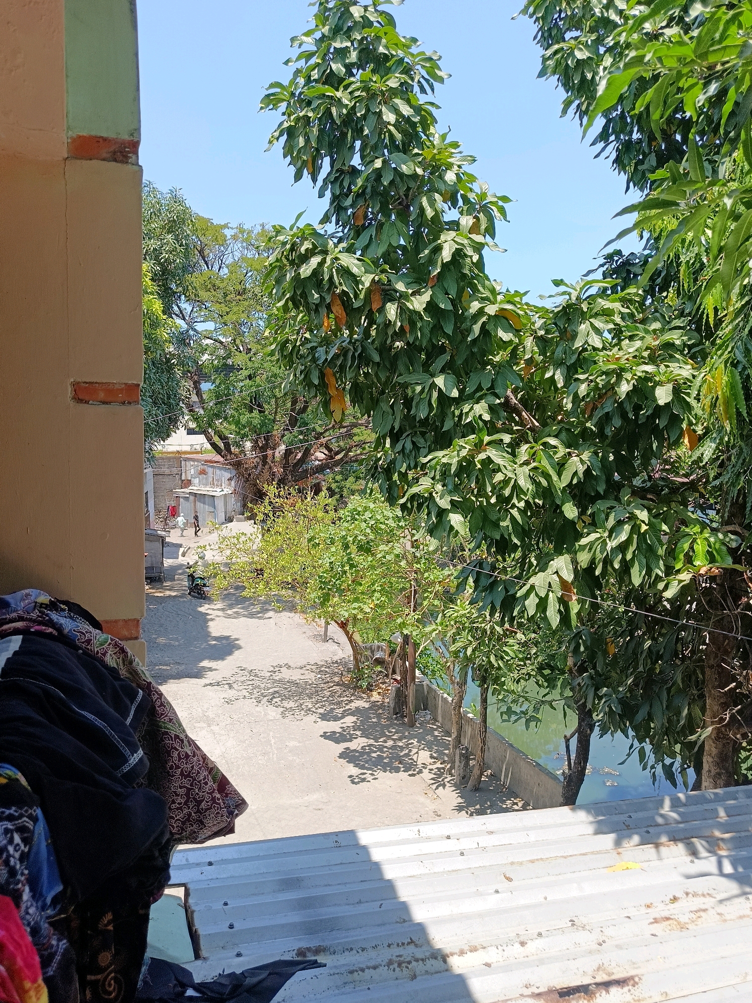 The image depicts a scene outdoors, likely in a residential area, under a clear blue sky. In the foreground, on the left, a textured wall with a light tan finish and a pale green trim runs vertically. Below this wall, a pile of colorful, folded clothing is visible, resting on a corrugated metal surface that appears to be a roof or balcony.
The mid-ground reveals a street or pathway made of compacted earth and gravel. On the right side of this path, a body of water, possibly a canal or pond, is visible, bordered by a concrete structure. Lush green trees with dense foliage dominate the scene, casting shadows on the ground. Some of the trees bear visible fruit, appearing yellowish-orange.
Further down the path, several structures with corrugated metal roofs are present, suggesting modest dwellings or outbuildings. Two individuals are walking on the path, one wearing a white garment and the other in darker clothing. A motorcycle is parked or being ridden on the path. The overall impression is of a sunny, casual day in a possibly tropical or subtropical urban environment. The presence of the pond and the style of the buildings suggest a location in Southeast Asia, consistent with Makassar, Indonesia.