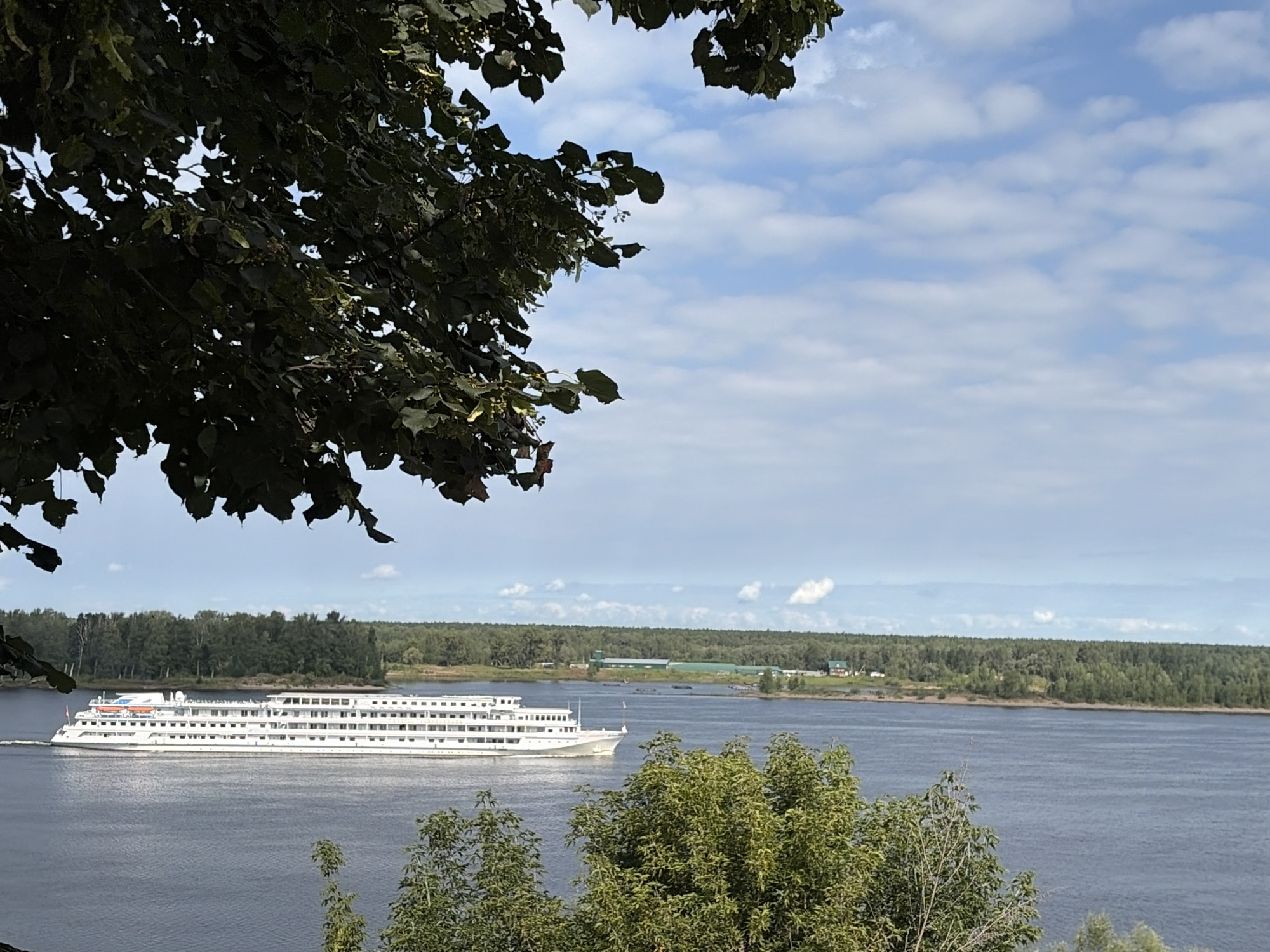 A wide, calm river flows under a partly cloudy sky. A long, white passenger ship with multiple decks travels on the river, moving from left to right. The riverbanks are lined with dense green trees, and some buildings are visible in the distance on the far bank. In the foreground, large green tree branches with dark leaves partially obscure the view, framing the scene from the top and bottom. The overall impression is a serene, natural landscape with a human element of travel. The location is identified as Olgokvka, Russia.