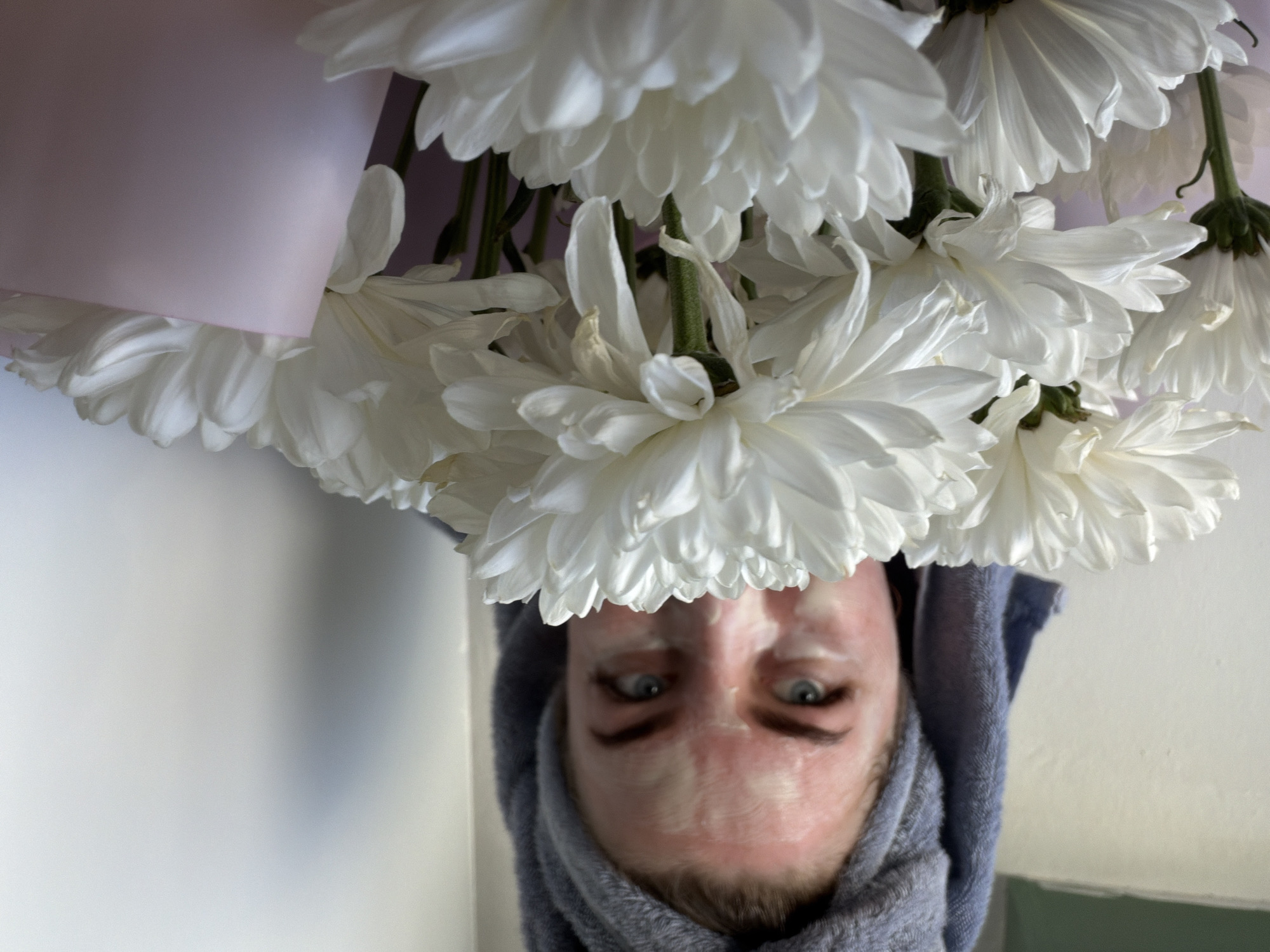 A person wearing a gray towel around their head is upside down with a bouquet of white flowers above them. The person has light skin, blue eyes, and visible facial features. The background includes a light-colored wall and a hint of packaging around the flowers. The specific location is unknown.