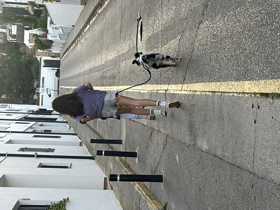 This image captures an uphill asphalt street in Calella De Palafrugell, Spain. A person with long dark hair, wearing a purple t-shirt, light blue ripped denim shorts, white striped socks, and white checkered slip-on shoes, walks uphill towards the top of the frame. This individual holds a black leash connected to a small to medium-sized black, white, and gray mottled dog walking directly in front and slightly to the right of the person. A second, smaller individual is partially visible, walking behind the primary person.
The street features a single unbroken yellow line down its center. On the left, a concrete curb separates the road from a narrow sidewalk where three black hexagonal bollards with silver tops are installed. A row of white stucco buildings with dark window shutters lines the left side of the street. On the right side, further up the incline, additional white residential buildings are visible among green foliage. A white panel van is parked on the right, beneath a "P" parking sign. The scene is illuminated by low-angle natural light, casting soft shadows.