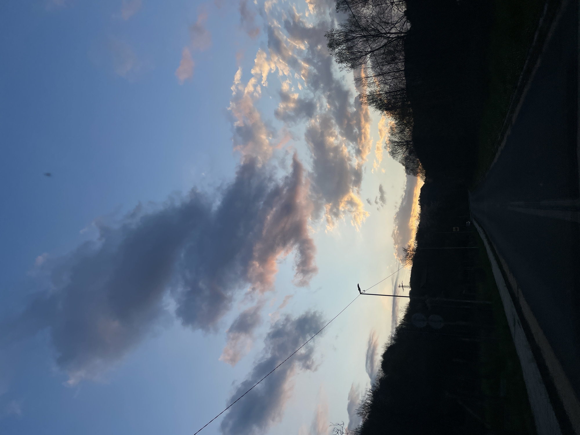 The image shows a road running through a landscape near Zlatograd, Bulgaria, at dusk or dawn. The road is paved and has a double yellow line. On one side of the road, there is a densely wooded area. A utility pole with electrical lines is visible, along with street signs near the treeline. The sky is predominantly blue with clouds, some illuminated by the setting or rising sun.