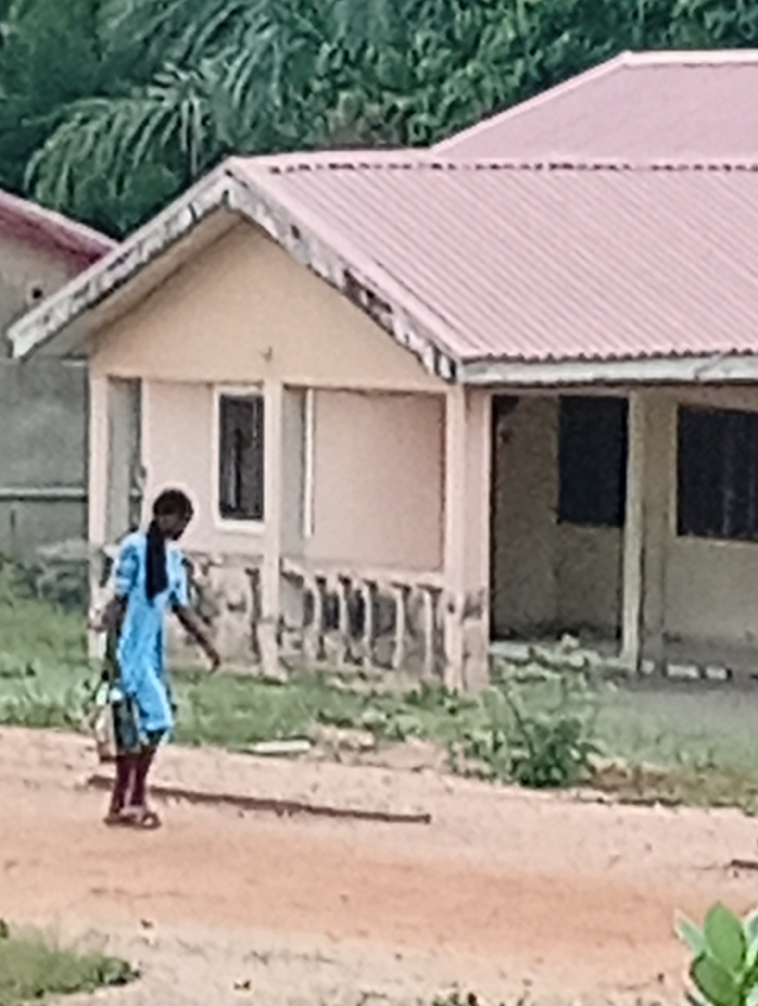 The image captures an outdoor scene in what appears to be a rural or semi-rural area, consistent with the Adankolo, Nigeria context. The primary subject is a person, likely a young woman or girl, walking from the left to the right side of the frame. She is dressed in a light blue long-sleeved top or dress and what appear to be reddish-brown sandals. In her left hand, she carries an item, possibly a bag or wrapped goods.
Behind the person stands a single-story building with light-colored walls and a distinctive reddish, corrugated metal roof. The building features a small front porch supported by decorative pillars or balusters. There is one window visible on the left side of the building's facade, and an open doorway on the right, revealing a dark interior. Another structure, possibly part of the same building or a neighboring one, is partially visible on the far left with a similar roof.
The ground is predominantly reddish-brown dirt or earth, indicating an unpaved path or yard. Sparse green vegetation is scattered across the ground in the foreground and near the building's foundation. Lush green foliage, including what appears to be palm trees, forms a dense background behind the house.
The scene takes place during the daytime, under what appears to be clear or mildly overcast skies, as indicated by the ambient light. There is no visible text in the image.