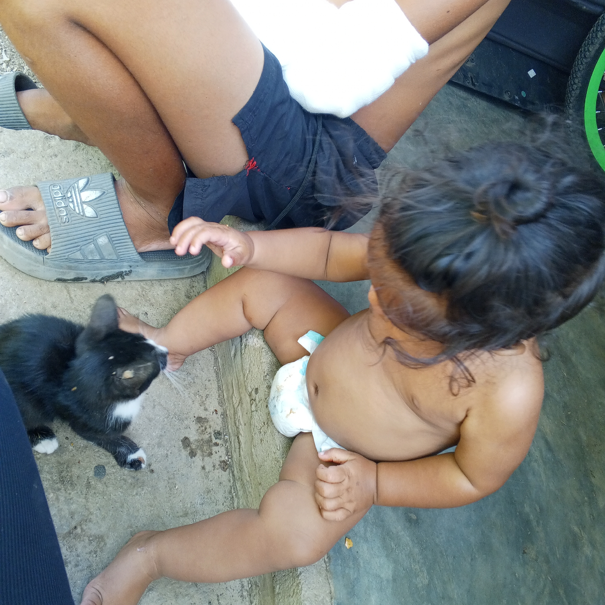 An overhead shot shows a person sitting on the ground with their legs crossed. On the left side of the frame, a black and white cat is visible. A baby is positioned in the center of the frame, lying on its side. The baby is wearing a diaper. The ground appears to be concrete.