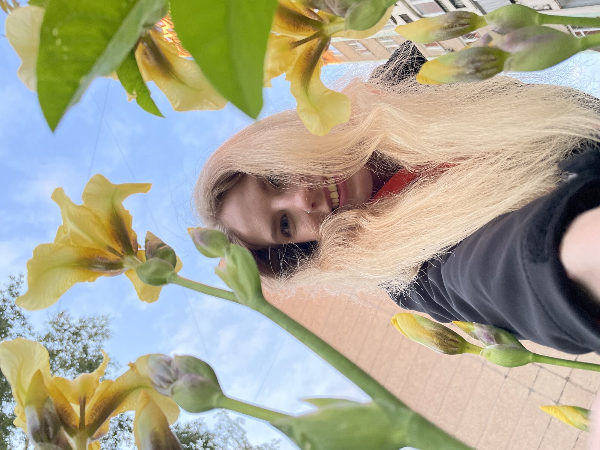 An outdoor, low-angle photograph taken in Izhevsk, Russia, features a young woman smiling brightly, framed by numerous yellow iris flowers and buds. The woman, with long, flowing blonde hair, is positioned in the upper center, looking downwards towards the camera. Her face is partially visible, showcasing her blue eyes, a nose ring, and a wide smile revealing her teeth. She wears a black garment, possibly a jacket or top, over a visible red layer.
The foreground and midground are dominated by the yellow irises, some in full bloom with visible petals and dark brown markings, while others are still closed buds with green stems and leaves. The background reveals a clear, light blue sky with a few wispy white clouds, indicating daytime. In the upper right corner, parts of light-colored buildings with windows are visible, suggesting an urban or residential environment. The overall impression is one of natural beauty and joy, captured from a unique perspective looking up through the flowers at the smiling subject. No text is visible in the image.