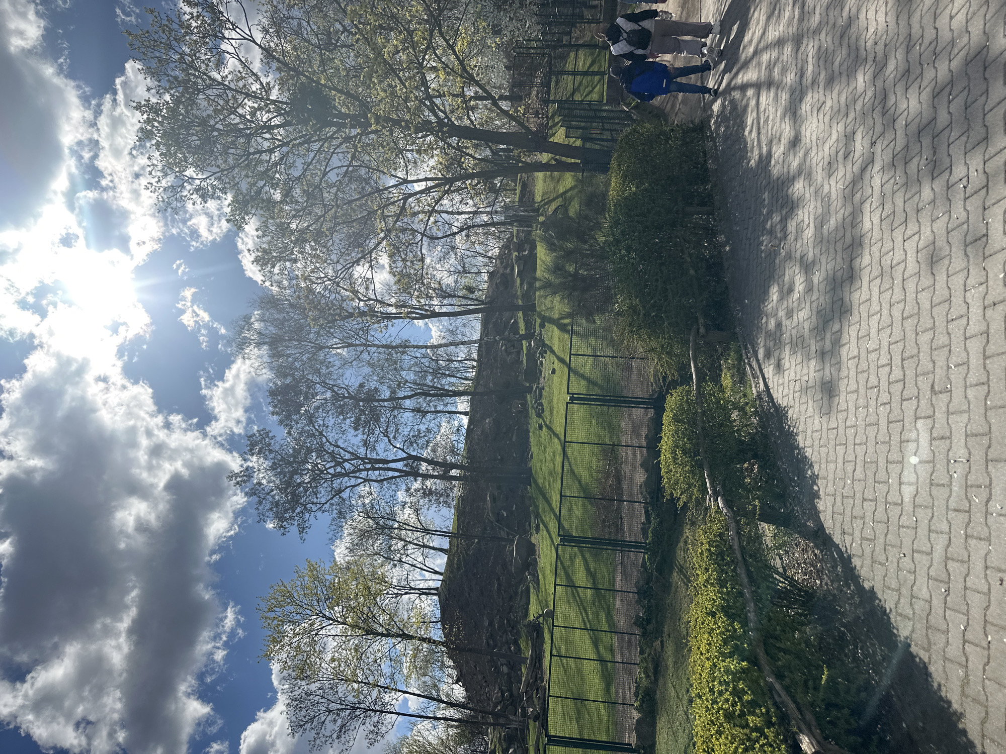 The image depicts a sunlit outdoor scene in Wrocław, Poland. The foreground features a paved pathway with shadows cast by trees. Three people walk on the right side. To the left of the path, a hedge lines a green fenced enclosure that slopes upward, culminating in a rocky ridge covered in greenery and sparse trees. A few small animals are visible behind the fence. Above the ridge, the sky is visible with scattered clouds and bright sunshine.