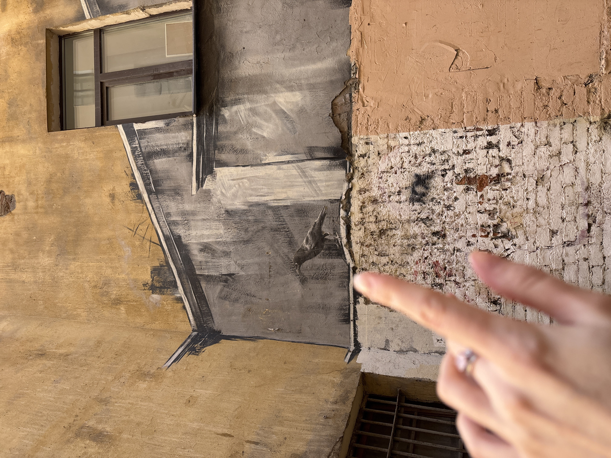 An outdoor shot shows the textured exterior of a building in Saint Petersburg, Russia, with a window on the upper left. The wall features sections of different colors and textures including yellow, gray with black lines, tan, and white brick. In the middle of the gray section, a painted bird, possibly a pigeon, is visible. A person's hand with a ring on the finger is in the lower right pointing at the wall. The image is taken in daylight.