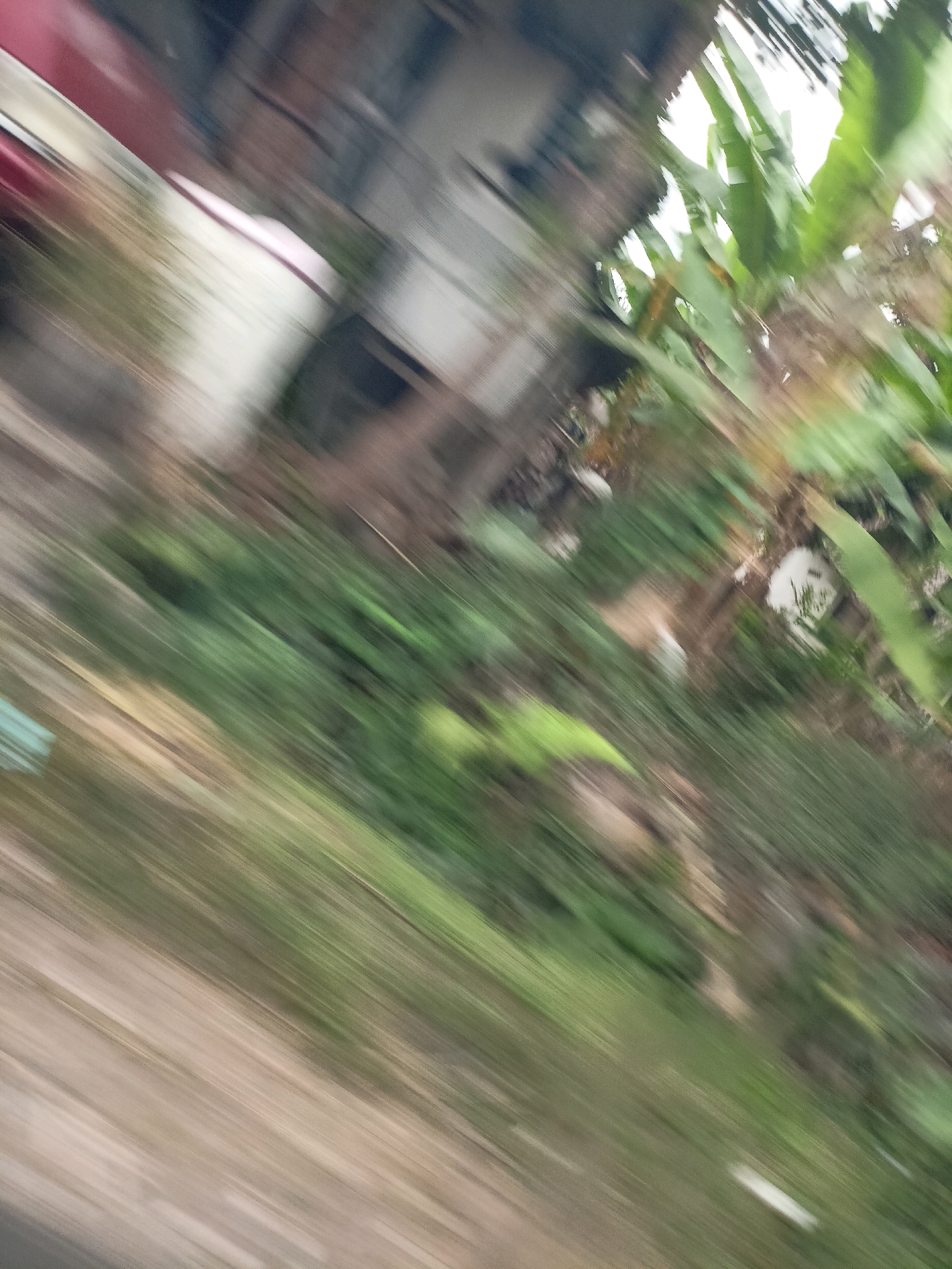 The image captures a blurred, diagonal view of a street scene in Kebonlegi, Indonesia. In the upper left, a portion of a red vehicle is visible, alongside a white structure that appears to be part of a building or a large container. To the right of this, a building with multiple levels and visible windows is depicted, its details softened by motion blur. Lush green vegetation, including what appear to be banana leaves, dominates the right side of the frame, suggesting a tropical environment. The ground in the foreground is a mixture of dirt and grass, rendered as streaks of color due to the motion. The overall impression is of a snapshot taken from a moving vehicle, with the dynamic blur emphasizing speed and movement.