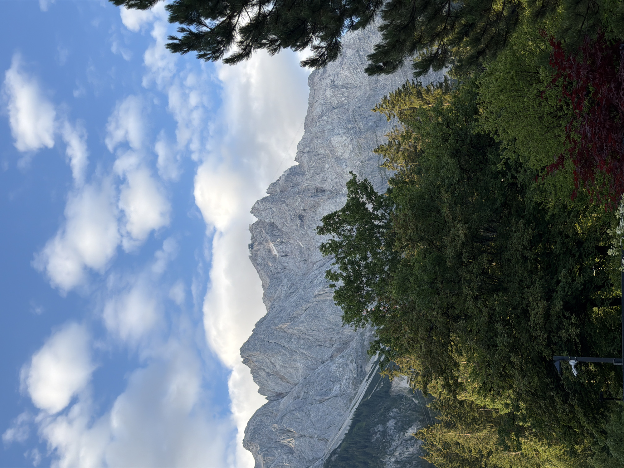 The image depicts a scenic view of the Zugspitze mountain range in Grainau, Germany, under a partly cloudy sky. In the foreground, a lush forest of green trees, including coniferous and deciduous varieties, occupies the lower half of the frame. Some of these trees are brightly illuminated by sunlight, suggesting it might be late afternoon or early morning. A dark red Japanese maple is visible in the bottom right corner. A black lamppost with a security camera is mounted on a pole in the lower-left portion of the image, set against a backdrop of trees. In the background, the rugged, grey, and imposing peaks of the Zugspitze dominate the upper half of the image. These mountains are characterized by steep, rocky slopes, with hints of snow in some crevices. A structure, possibly a cable car station or a viewing platform, is visible on one of the mountain summits. The sky above is a vibrant blue, scattered with fluffy white clouds, some of which are catching the sunlight. The overall scene conveys a sense of natural grandeur and tranquility.