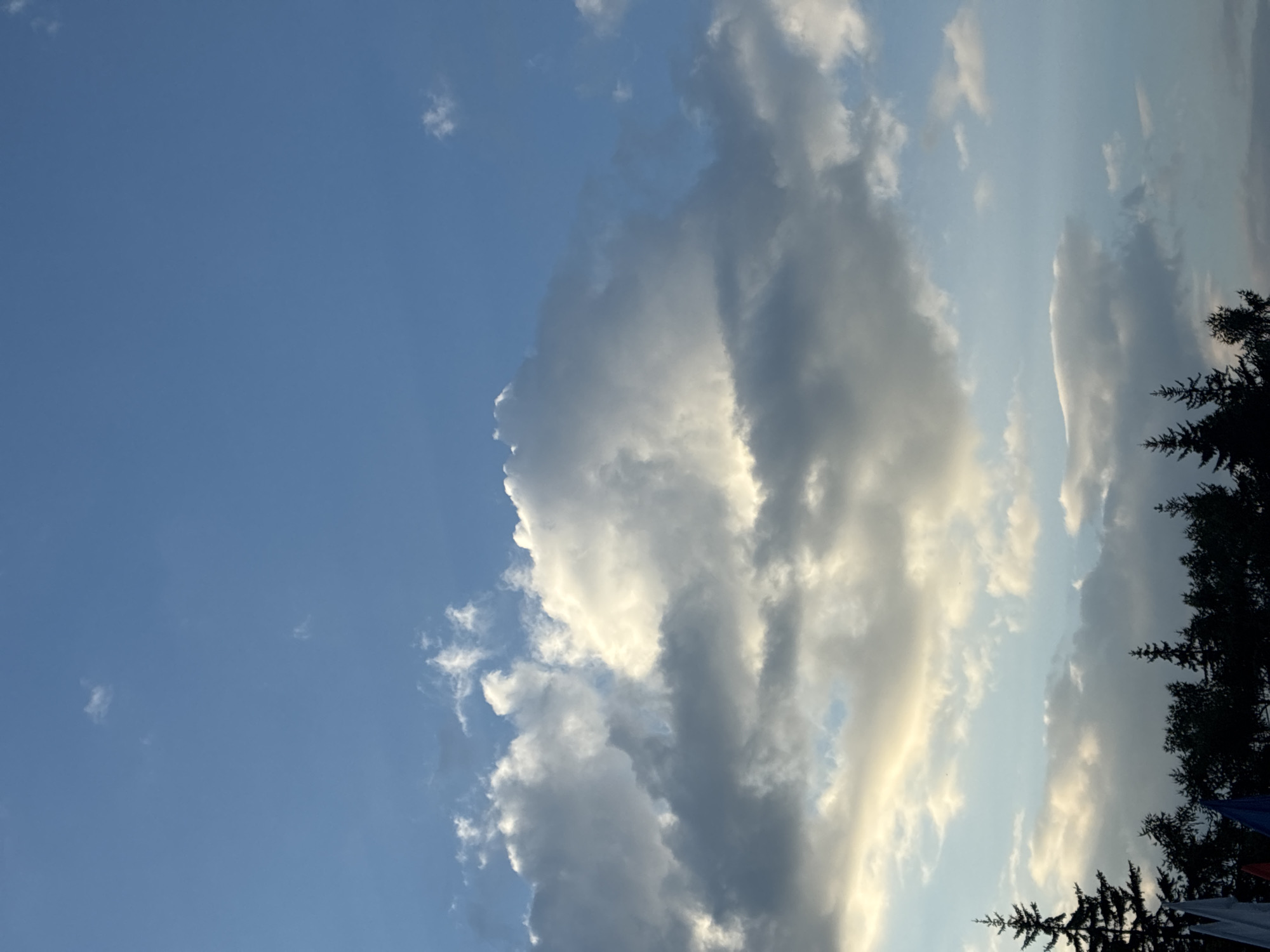The image shows a sky with various types of clouds and a silhouette of trees and flags at the bottom. The sky is a vibrant blue, transitioning to lighter shades near the horizon, with patches of white and gray clouds scattered throughout. Some clouds are illuminated by sunlight, creating bright highlights, while others appear darker and more dense. The trees are dark green and silhouetted against the sky, suggesting it is either early morning or late evening. Several flags are visible in the lower left corner, predominantly white, blue, and red, adding a touch of color to the scene. The overall impression is one of a natural landscape with a hint of human presence through the flags. There is no indication of the specific location within Irkutsk, Russia, or any identifiable landmarks that would pinpoint it within the city.