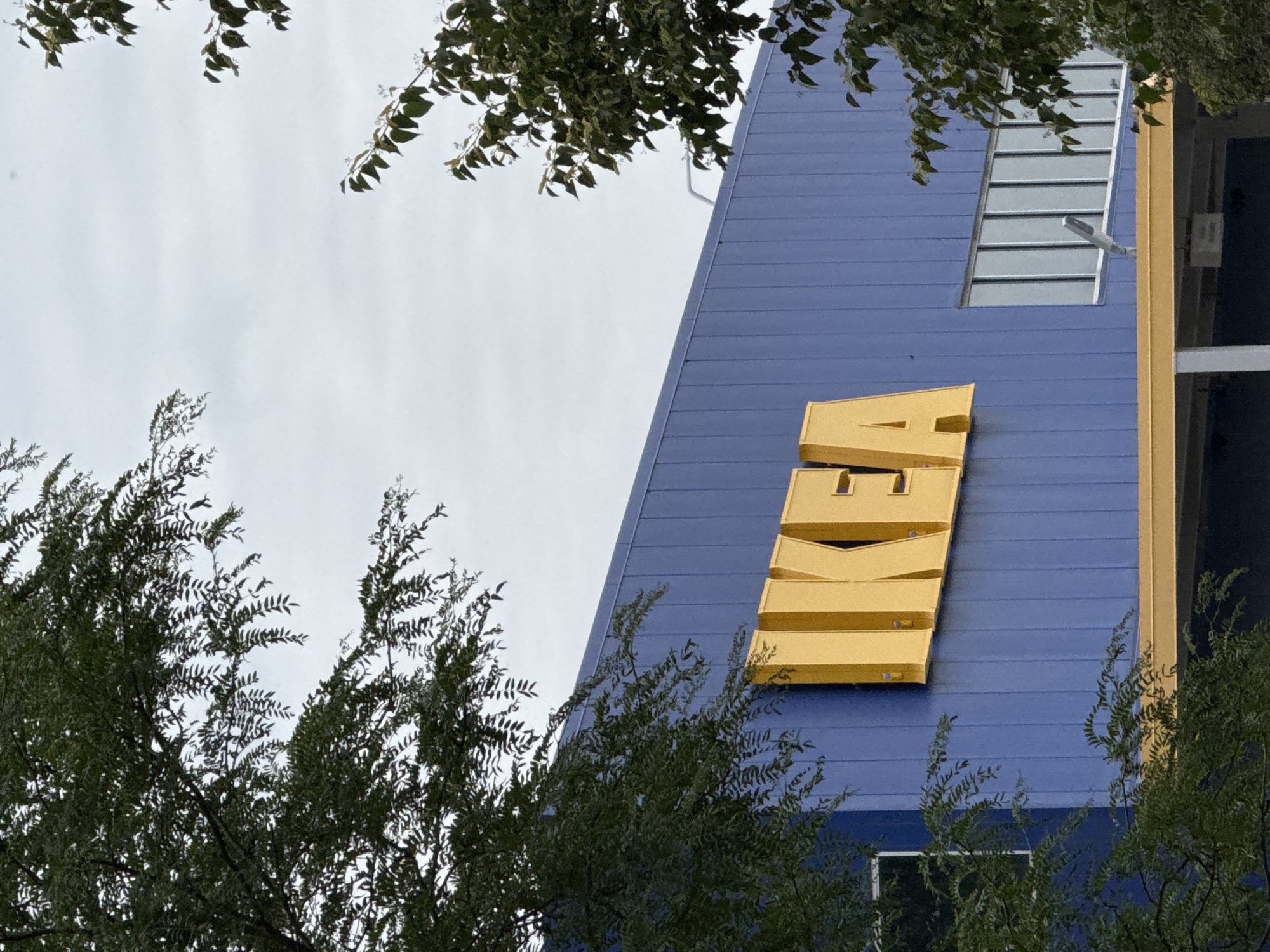 The image shows the exterior of an IKEA store in Bolingbrook, United States of America. The building is painted blue with yellow trim and features the prominent yellow IKEA logo on its facade. Several trees with green foliage frame the building, partially obscuring the view. The sky is overcast.