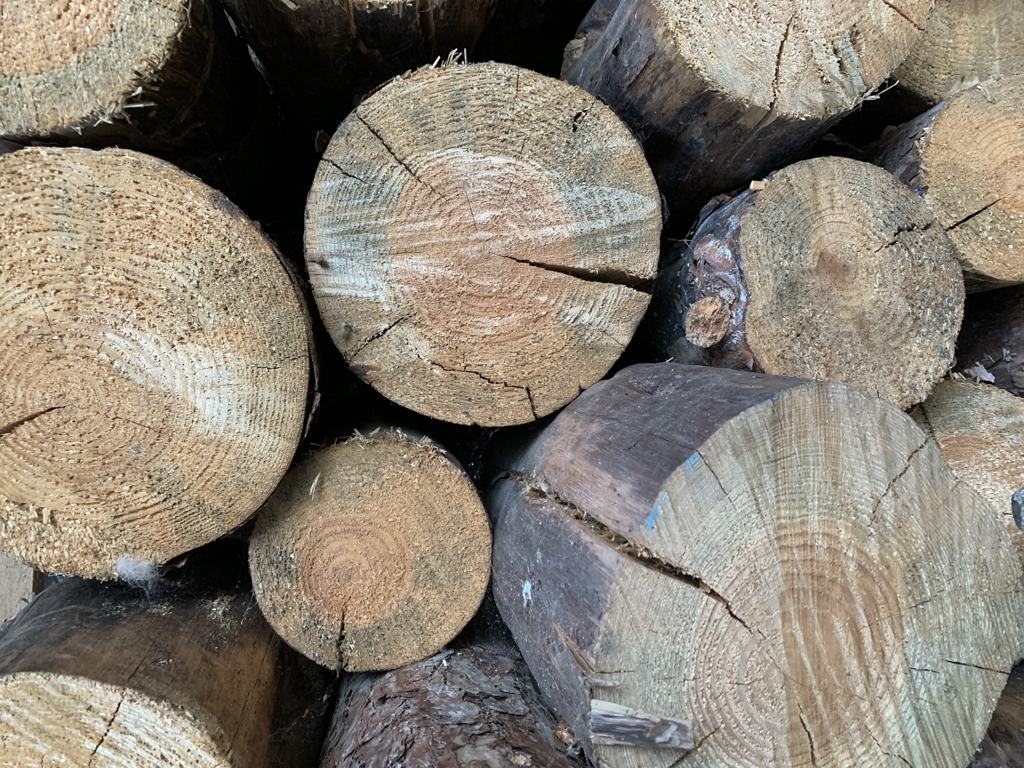 A close-up, overhead shot shows a pile of cut logs. The logs are of varying sizes and are stacked horizontally and vertically. The wood appears dry and weathered, with visible grain patterns and cracks on the cut ends. Some of the logs have rough bark, while others are smooth. The lighting is natural, casting subtle shadows and highlighting the texture of the wood. The scene is devoid of any human presence or activity, suggesting a static, natural setting. The logs are likely intended for firewood or construction purposes.