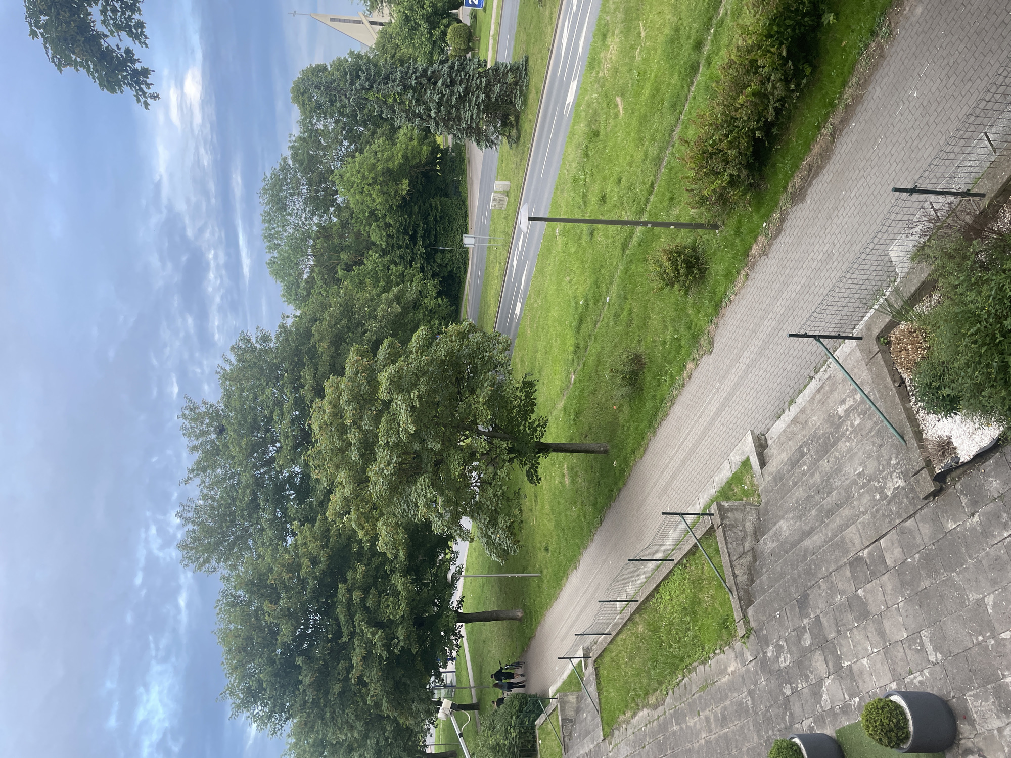 The image depicts a street scene in Kołobrzeg, Poland, likely during the daytime given the bright sky and shadows. The perspective is from above, looking down at a paved walkway that runs alongside a grassy area and a road. Trees, some of which are quite large and mature, line the street and the grassy median. In the distance, a tall, steeple-like structure, possibly a church, is visible.
On the paved walkway, a few people can be seen walking. They are small in the frame, suggesting they are some distance away. The overall atmosphere appears peaceful and ordinary, with no indication of any specific event. The weather seems pleasant, with a partly cloudy sky. The presence of a road with lane markings and a sidewalk indicates an urban or suburban environment.
Further down the walkway, there are some planters with greenery. Steps made of concrete are also visible in the foreground. The image is a candid shot of a typical day in a Polish town, focusing on the interplay between natural elements like trees and grass, and the man-made structures of roads and walkways. There is no discernible text in the image.