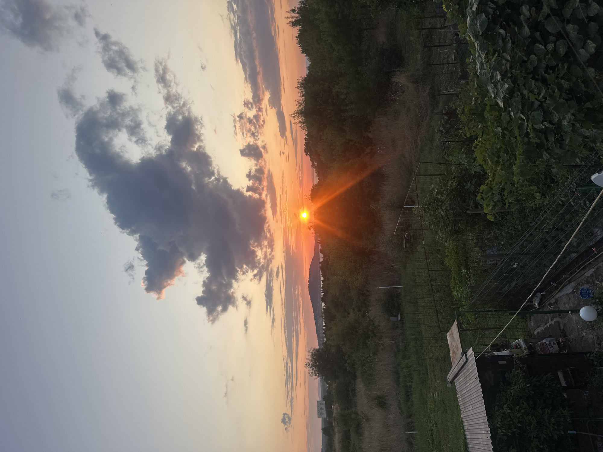 This is a landscape photograph taken during sunset in Chernomorets, Bulgaria. The sky displays a gradient of colors from light blue at the top to orange and yellow near the horizon, indicating the setting sun. Several clouds are present, some dark gray and others tinged with pink and orange from the sunlight. The sun itself is a bright, intense orange orb near the center of the frame, with prominent light flares extending outwards.
The foreground of the image features a lush green area with dense foliage and trees. A rustic shed with a corrugated metal roof is visible on the left, with some gardening tools and equipment around it. A wire fence encloses parts of the property, separating different garden areas. In the middle ground, there is a field of dry grass and bushes, with more trees beyond. In the distance, a hill or mountain can be seen with a structure on top, possibly a tower. The horizon line is marked by trees and a body of water, likely the Black Sea. The overall scene conveys a peaceful, natural setting at dusk.