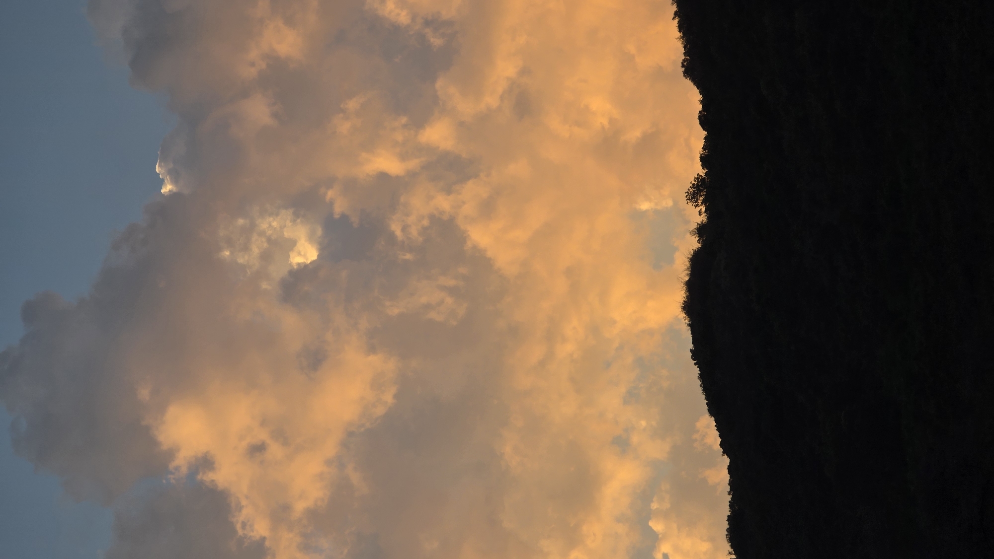 A view of sky and a dark hill. The sky is filled with clouds, illuminated with warm colors, possibly by the setting sun. A dark, heavily vegetated hill is on the right. The image is rotated 90 degrees counterclockwise. This image was captured in or near Bac Nha Trang Ward, Vietnam.