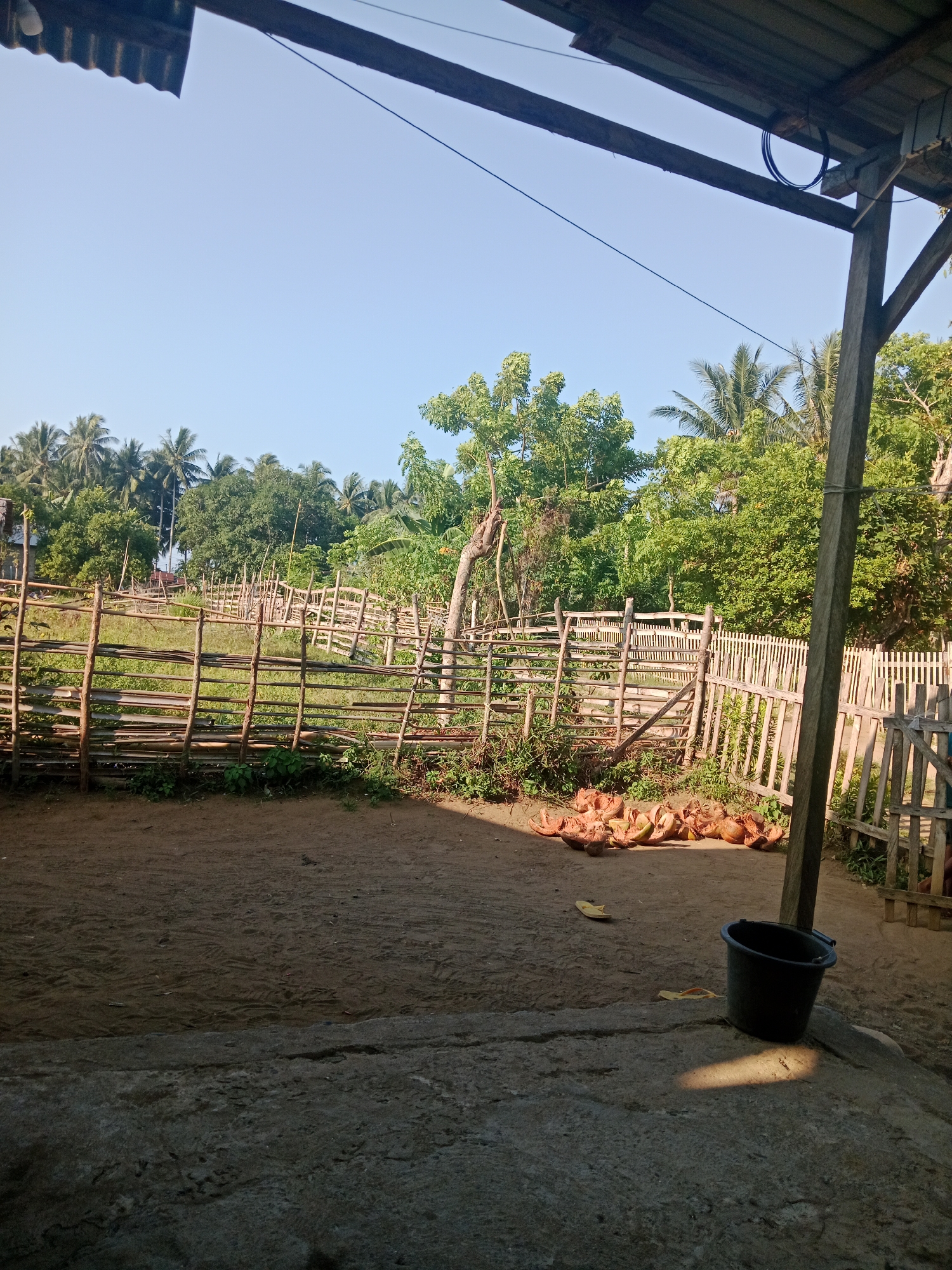 The image depicts a rustic outdoor scene, likely in a rural area of Lakea Satu, Indonesia, characterized by a dirt ground and a rough concrete foreground. A wooden fence, constructed from branches and poles, encloses a grassy area with scattered trees and palm trees in the background. In the mid-ground, a pile of coconut husks is visible on the dirt. To the right, a black plastic bucket and a pair of yellow flip-flops are placed on the ground, with a sunlight casting a shadow. The sky above is clear and blue. The presence of the fence, coconut husks, and simple construction suggests a domestic or agricultural setting.