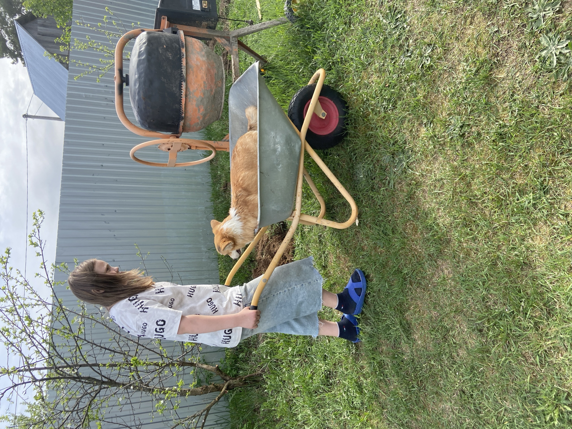 The image shows a young person standing next to a wheelbarrow in a grassy area. A dog is sitting in the wheelbarrow. Behind the wheelbarrow, there is a cement mixer. A tree with green leaves is to the left of the person, and a corrugated metal wall is in the background. The location is Ольховка, Russia.