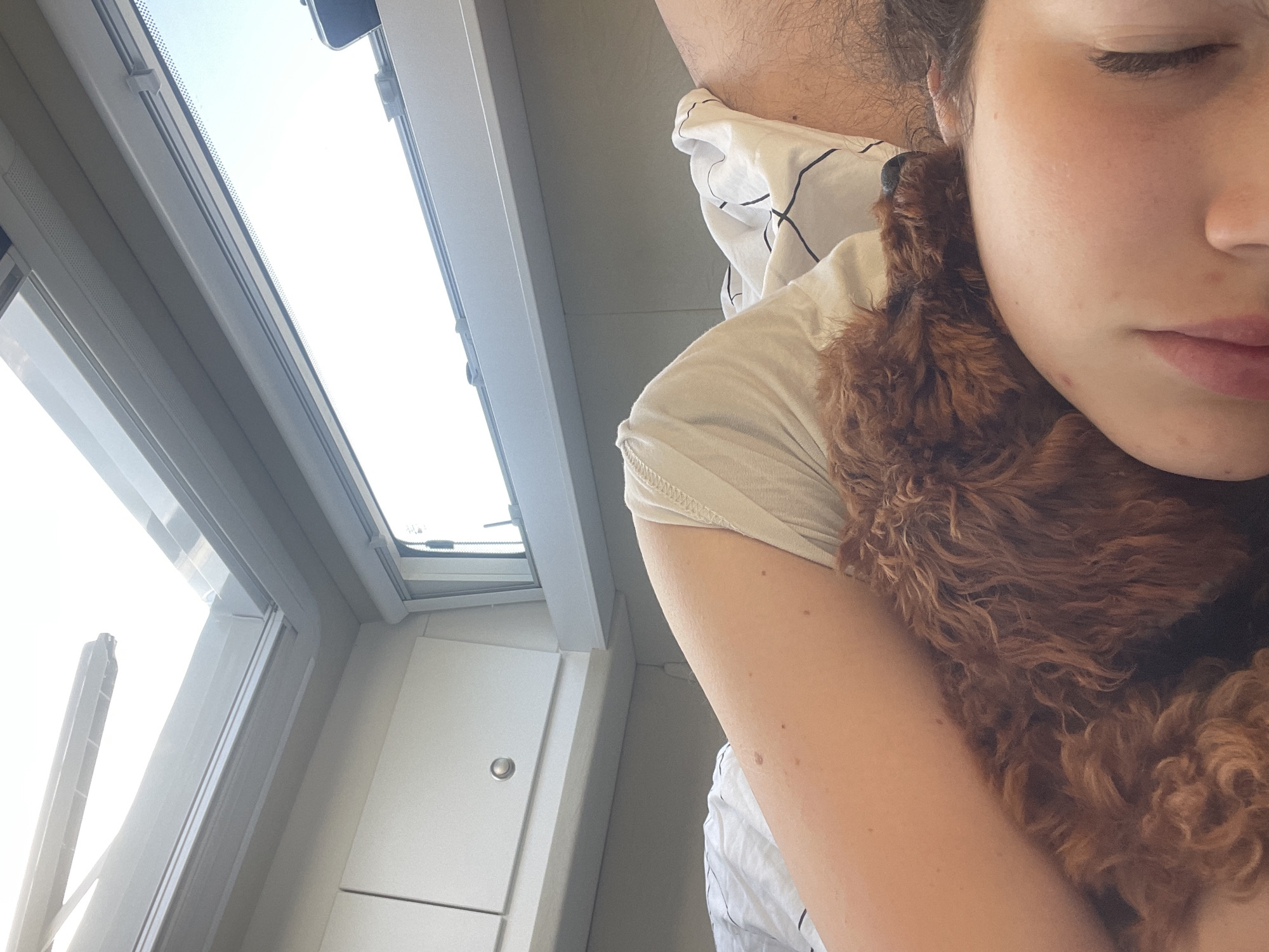 The image displays a close-up interior scene, likely within a recreational vehicle or camper van, located in Koprinka, Bulgaria. A person with fair skin and dark, slightly disheveled hair is depicted lying on their right side, with their eyes closed, suggesting sleep or rest. A reddish pressure mark is visible on the left side of their face. Nestled against the person's upper chest and neck is a small-to-medium-sized dog with dense, curly, reddish-brown fur and a visible black snout, also appearing to be at rest.
The bedding consists of a white fabric with a black grid pattern. The surrounding interior architecture features light-colored, paneled walls and overhead storage cabinets, one of which has a circular silver knob, consistent with vehicle interiors. Above, two windows are visible. One is an overhead skylight or roof vent, partially open to the exterior, revealing bright, clear daylight. The other is a side window, also admitting bright light, with a visible roller blind mechanism and small dark dots along its upper edge, characteristic of vehicle windows. The scene conveys a moment of quiet companionship and rest within a mobile living space.