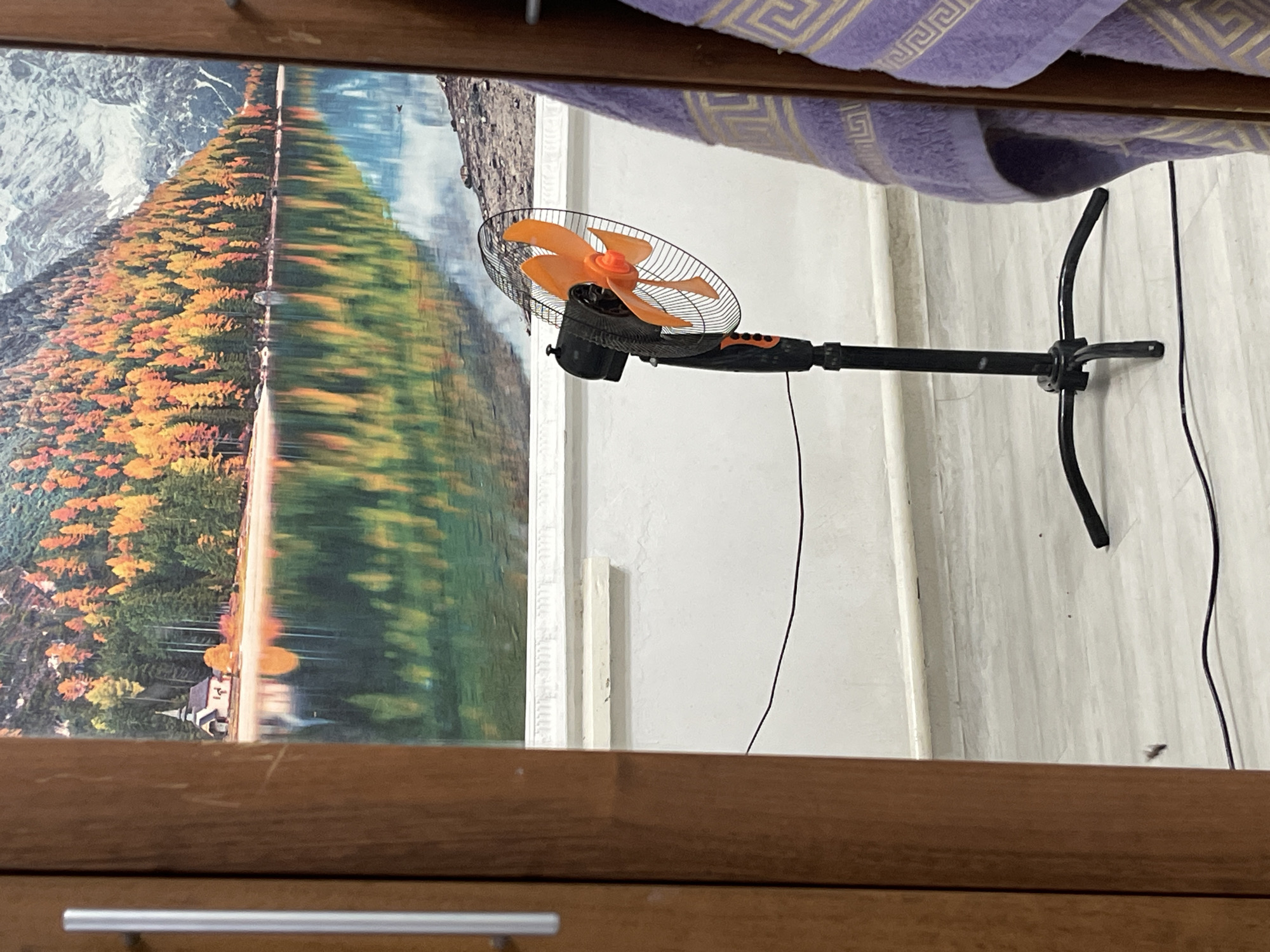 The image shows a close-up view of a room, likely an interior space, with a large mural on the wall depicting a scenic landscape. The mural features a lake reflecting a mountainside covered in autumn foliage, with a small church visible on the shore. In the foreground, a black oscillating fan with orange blades stands on a tripod base, positioned in front of the mural. To the right of the fan, a purple towel with a decorative pattern is draped over a surface, partially obscuring the view of the mural. A wooden door frame frames the scene on the left side. The floor appears to be a light-colored laminate or tile. There is no indication of the location being in Bishkek City, Kyrgyzstan; it is a generic interior scene.