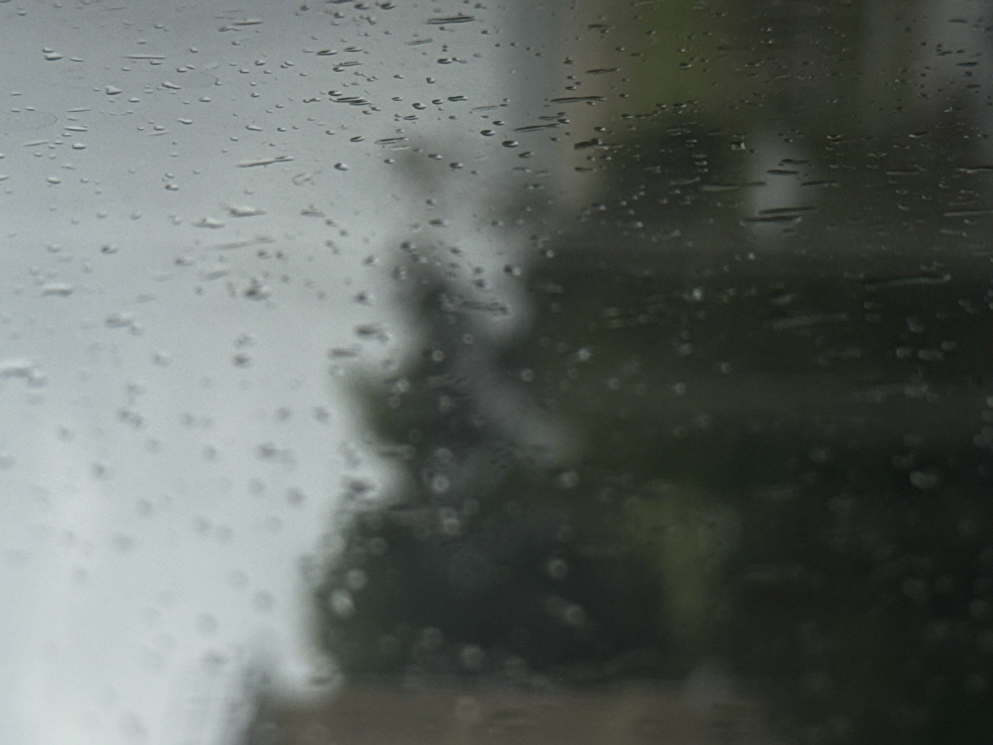 The image depicts a close-up view of raindrops on a glass surface, likely a window. The raindrops are varied in size and shape, with some appearing as distinct spheres and others elongated, suggesting they are either in motion or have streaked down the glass. The background is heavily blurred and out of focus, creating a bokeh effect. Through the water droplets, vague shapes of trees and foliage are discernible, rendered in dark green and grey tones. The overall atmosphere is muted and somewhat melancholic, characteristic of a rainy or overcast day. The lighting appears to be diffused, as there are no harsh shadows. The time of day is indeterminate due to the overcast conditions, but it is clearly daytime. The location context of Mikhaylovsk, Russia, places this scene in a setting that experiences varied weather, including rain. The image evokes a sense of quiet observation, as if looking out from indoors at the precipitation. There is no visible text in the image.
