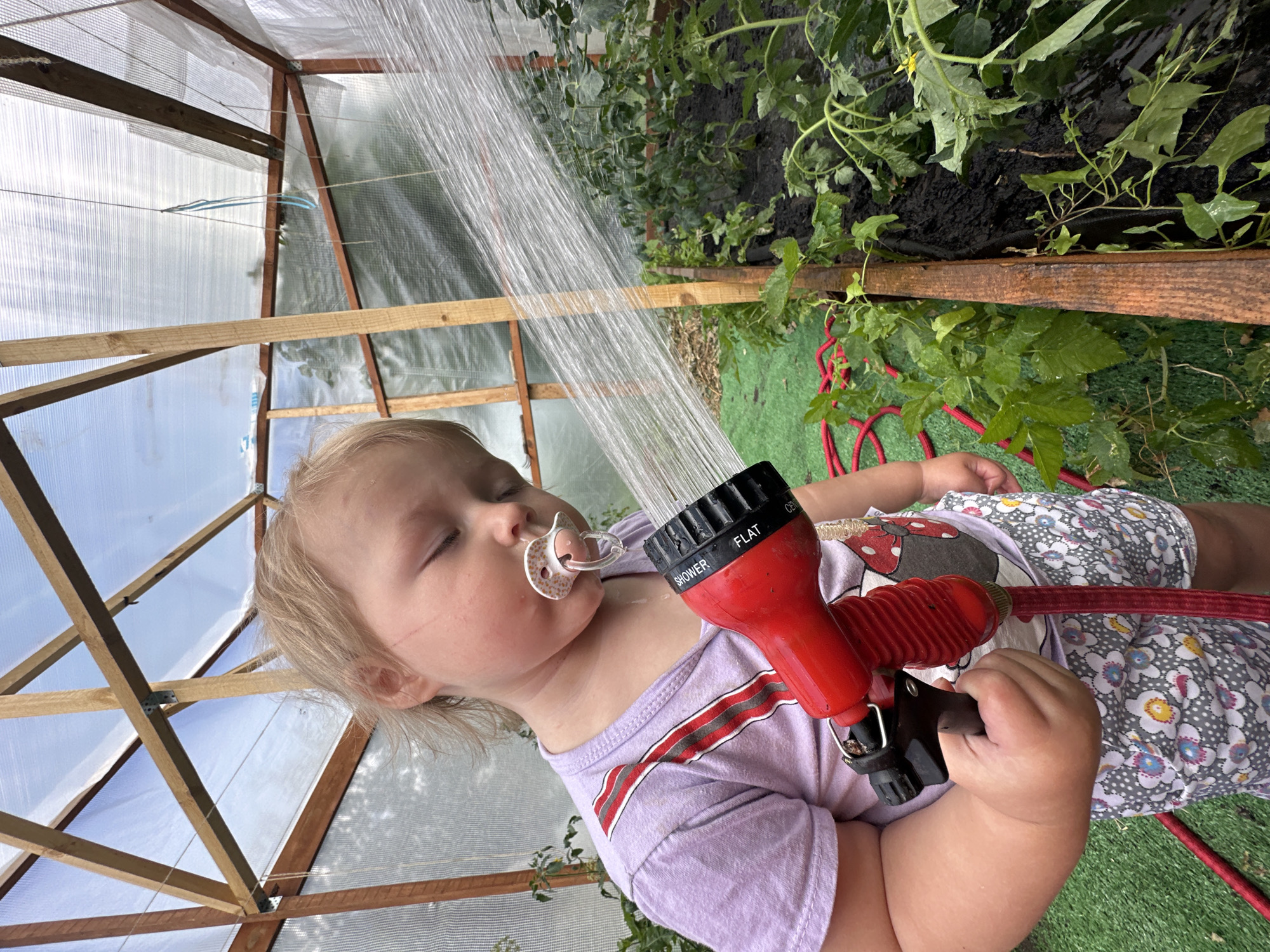 The image depicts a young child with a pacifier in their mouth, watering plants in a greenhouse. The child is wearing a purple t-shirt and patterned shorts, and is holding a red nozzle of a garden hose. The greenhouse has a wooden frame and is covered with clear plastic sheeting. The plants are growing in raised beds filled with dark soil. The floor of the greenhouse is covered with green turf. The scene appears to be a domestic garden setting. There is no indication of the location being in the city of Nizhny Novgorod, Russia.